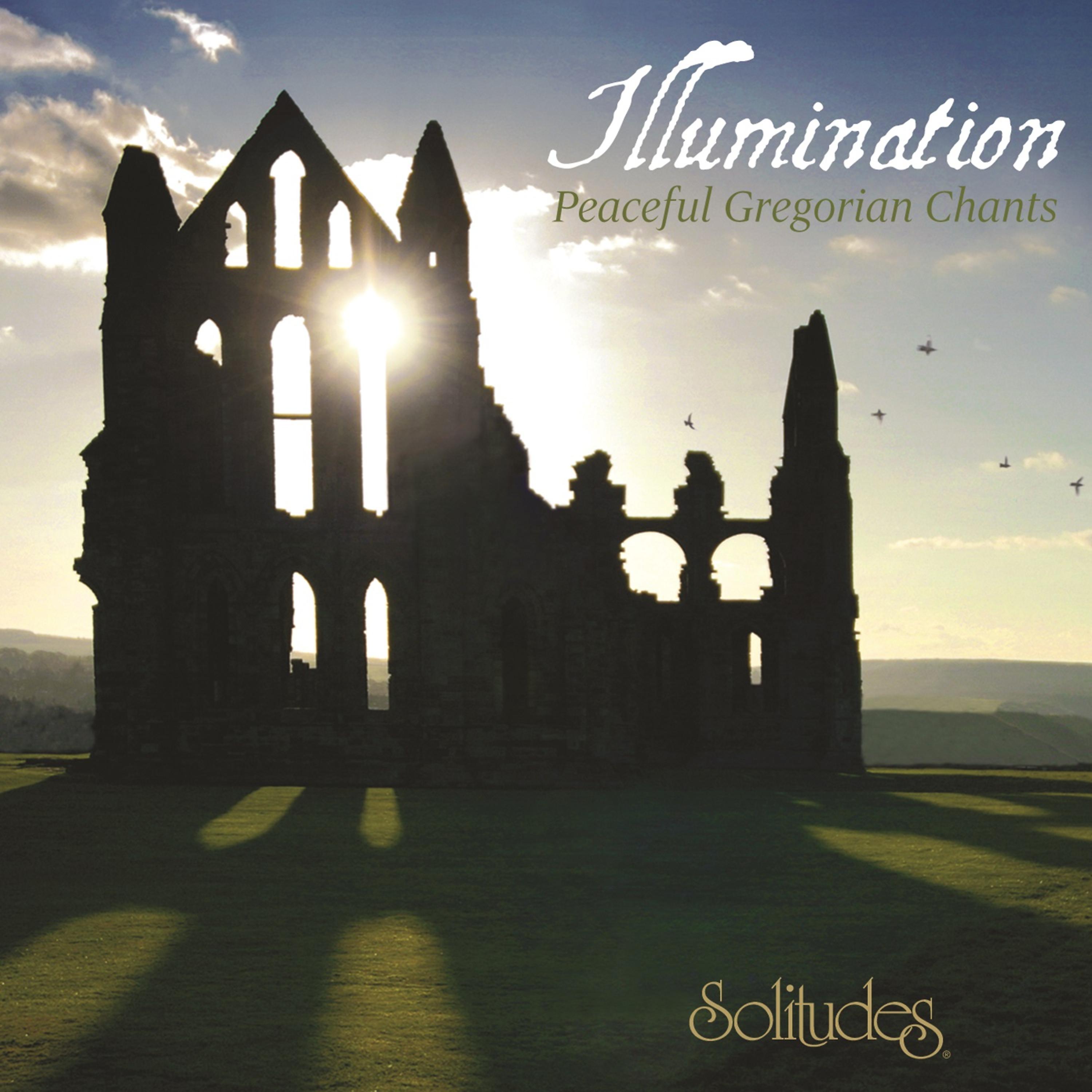 Постер альбома Illumination: Peaceful Gregorian Chants