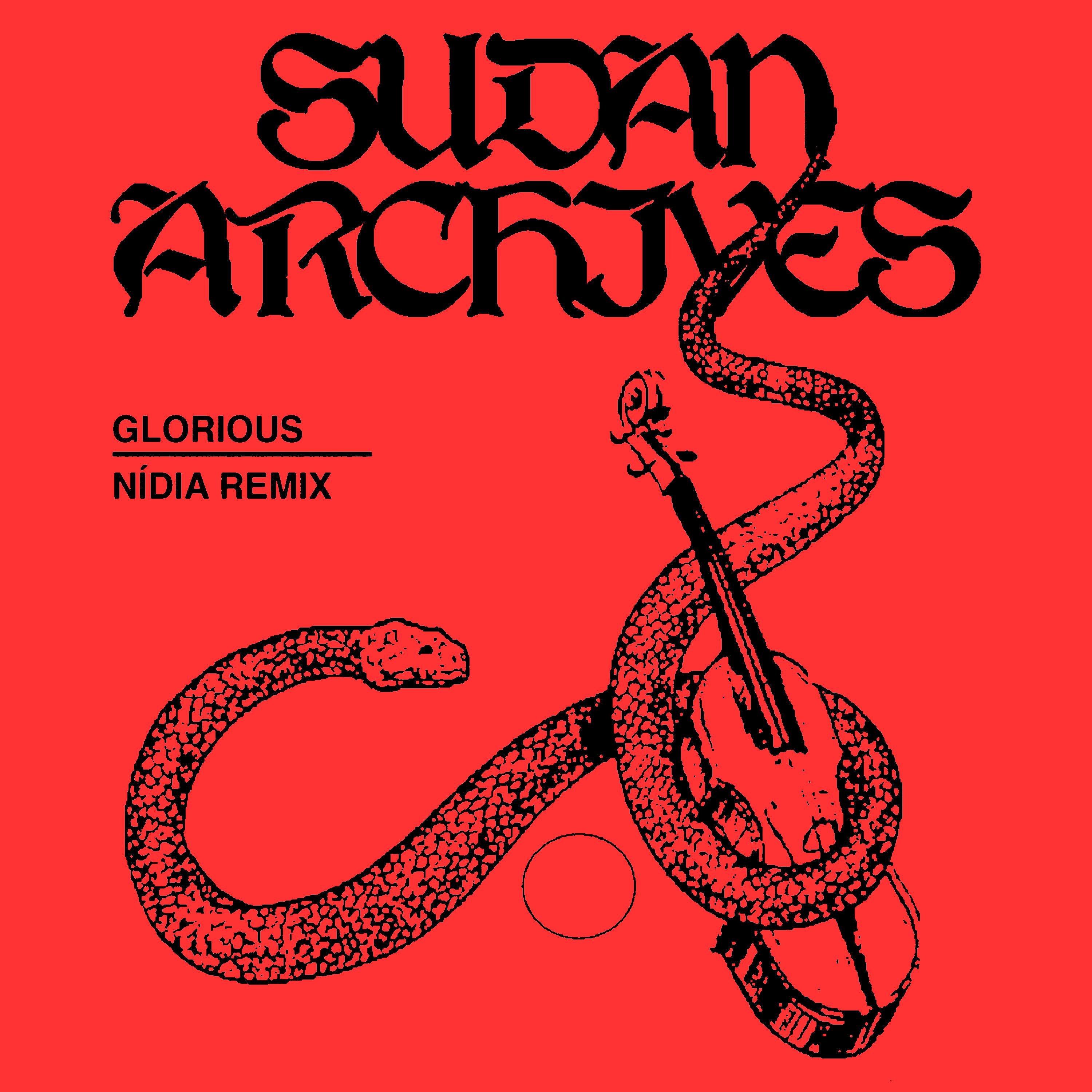 Постер альбома Glorious (Nídia Remix)