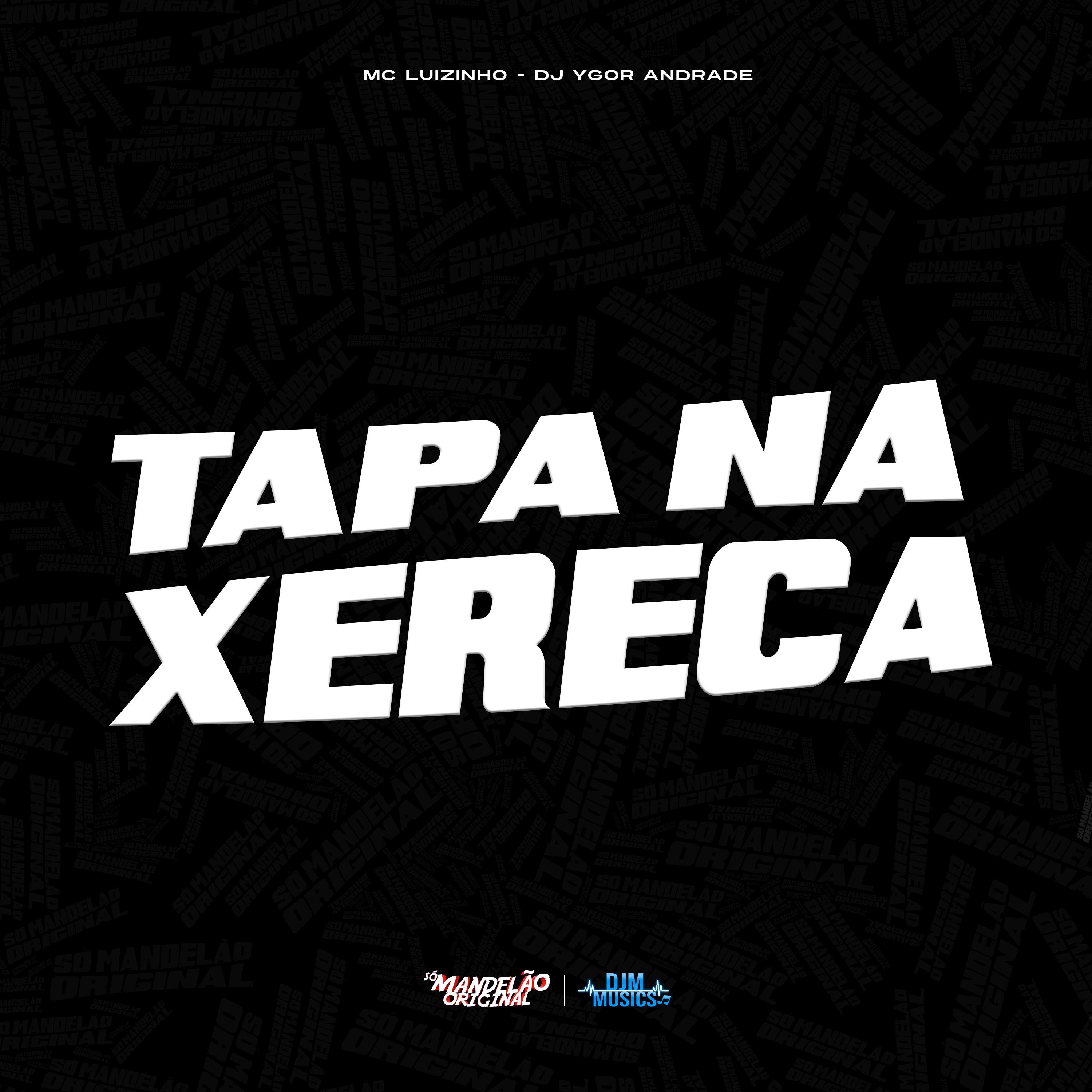 Постер альбома Tapa na Xereca Versão Braba