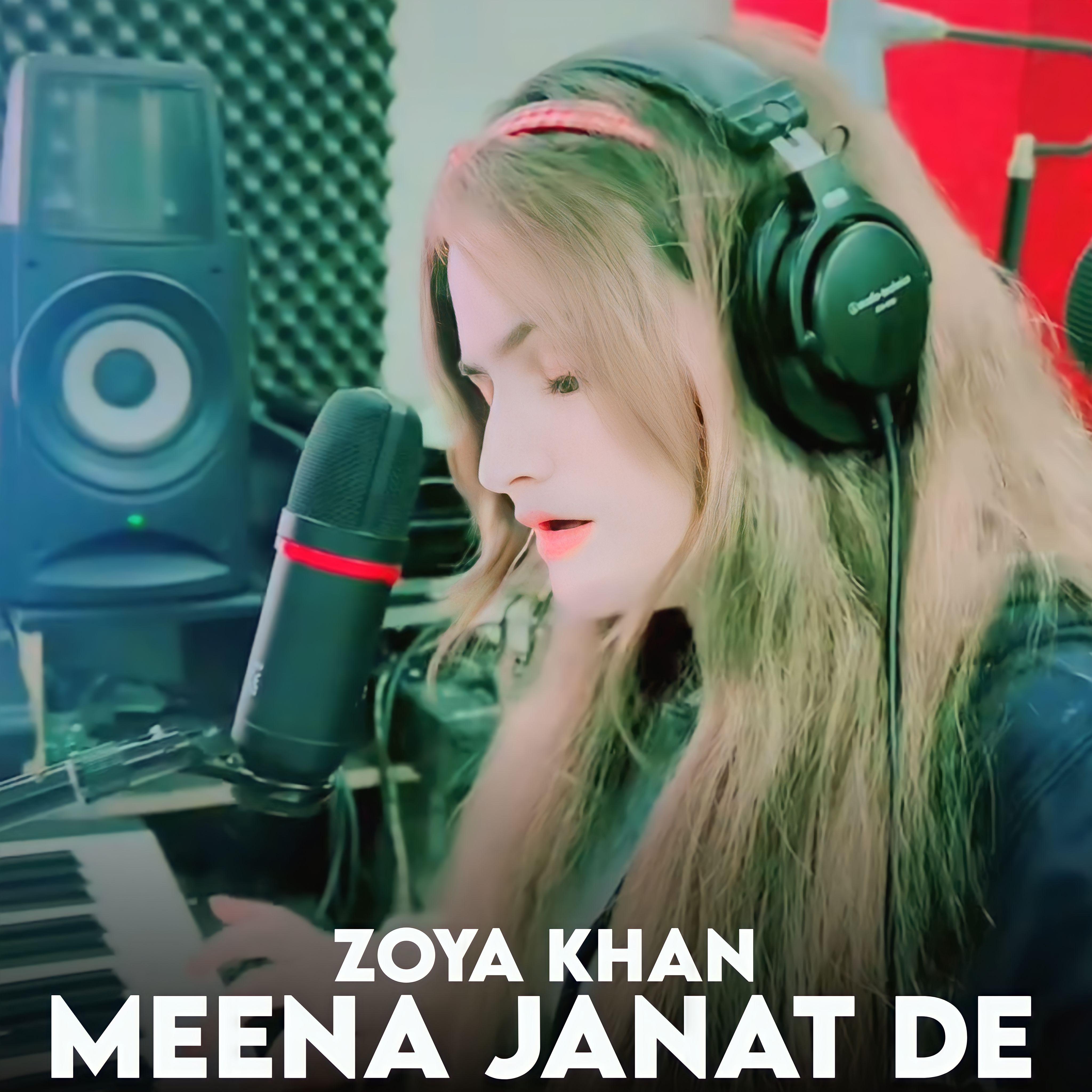 Постер альбома Meena Janat De