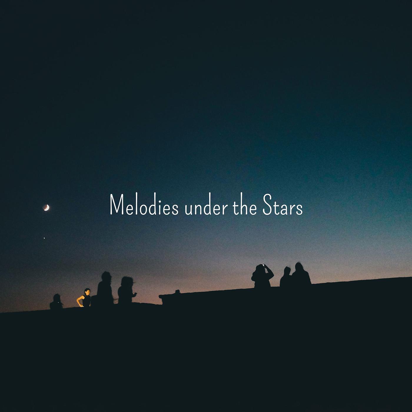 Постер альбома Melodies Under the Stars