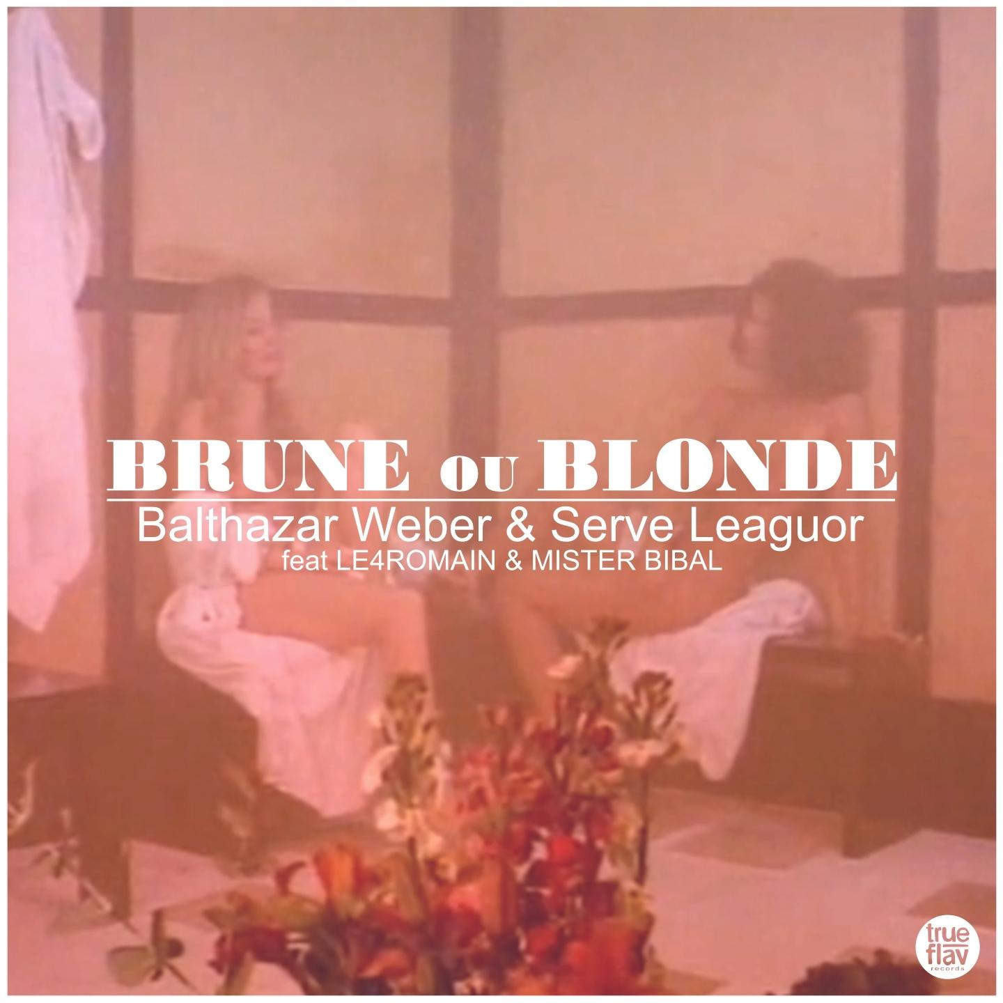 Постер альбома Brune ou blonde