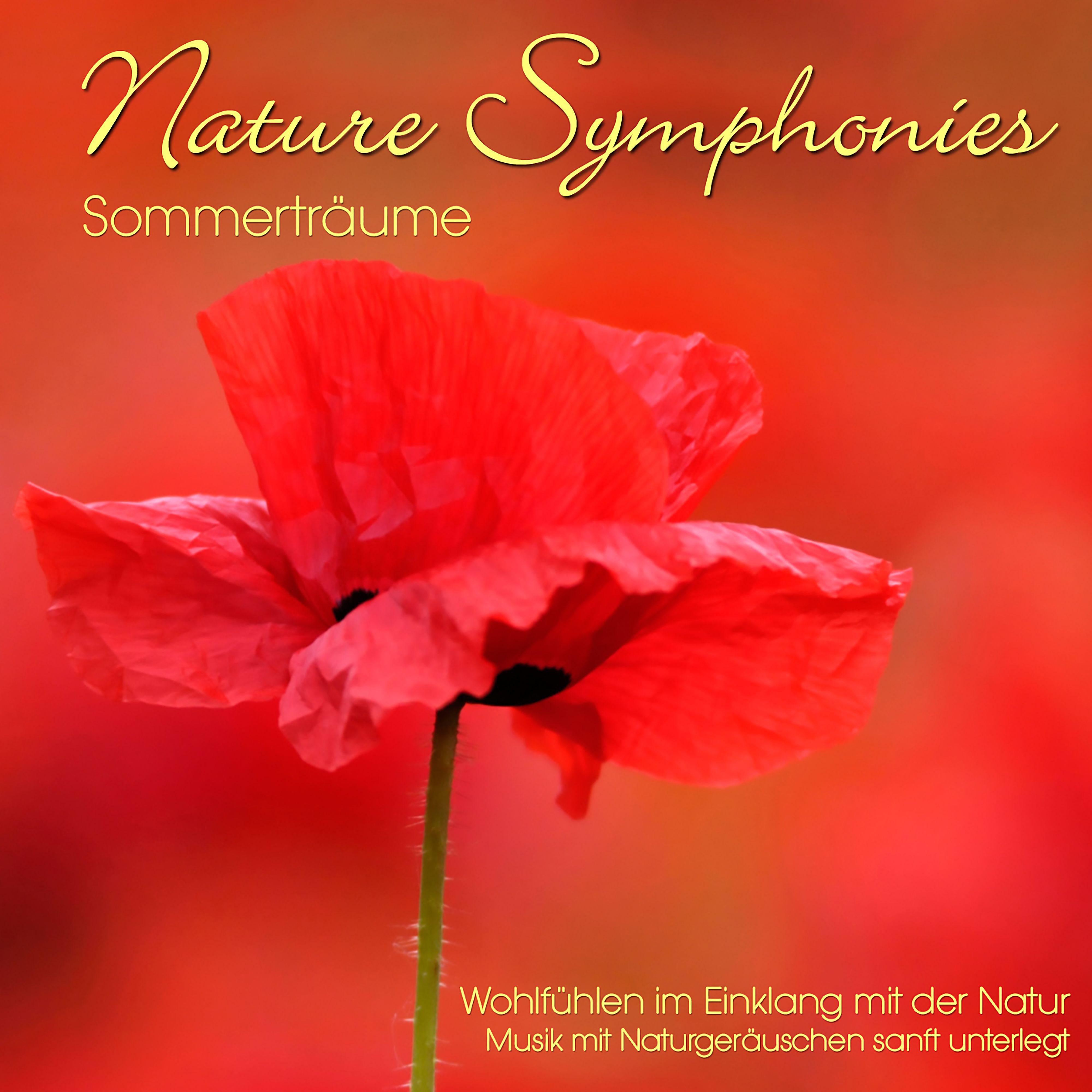 Постер альбома Nature Symphonies: Sommerträume