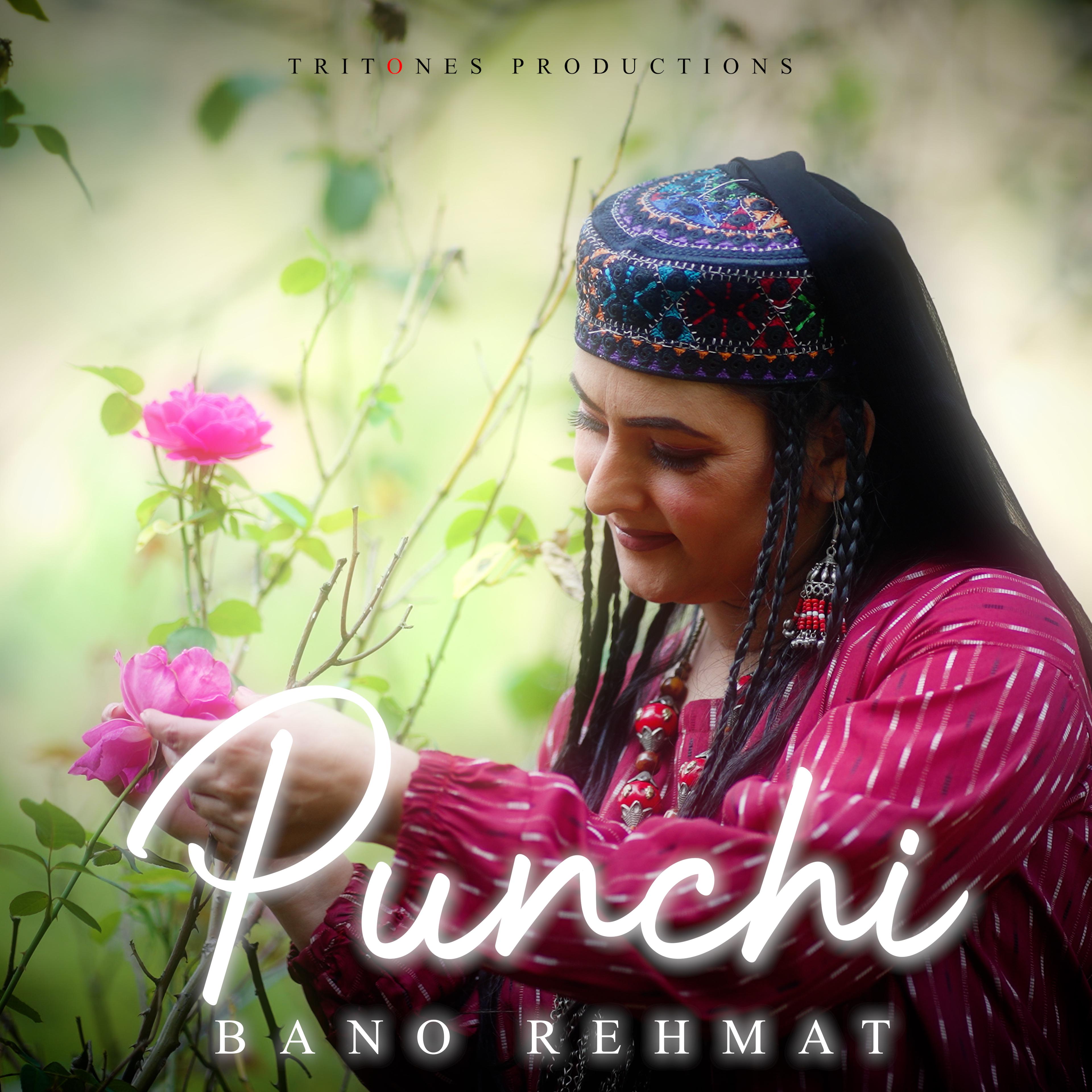 Постер альбома Punchi