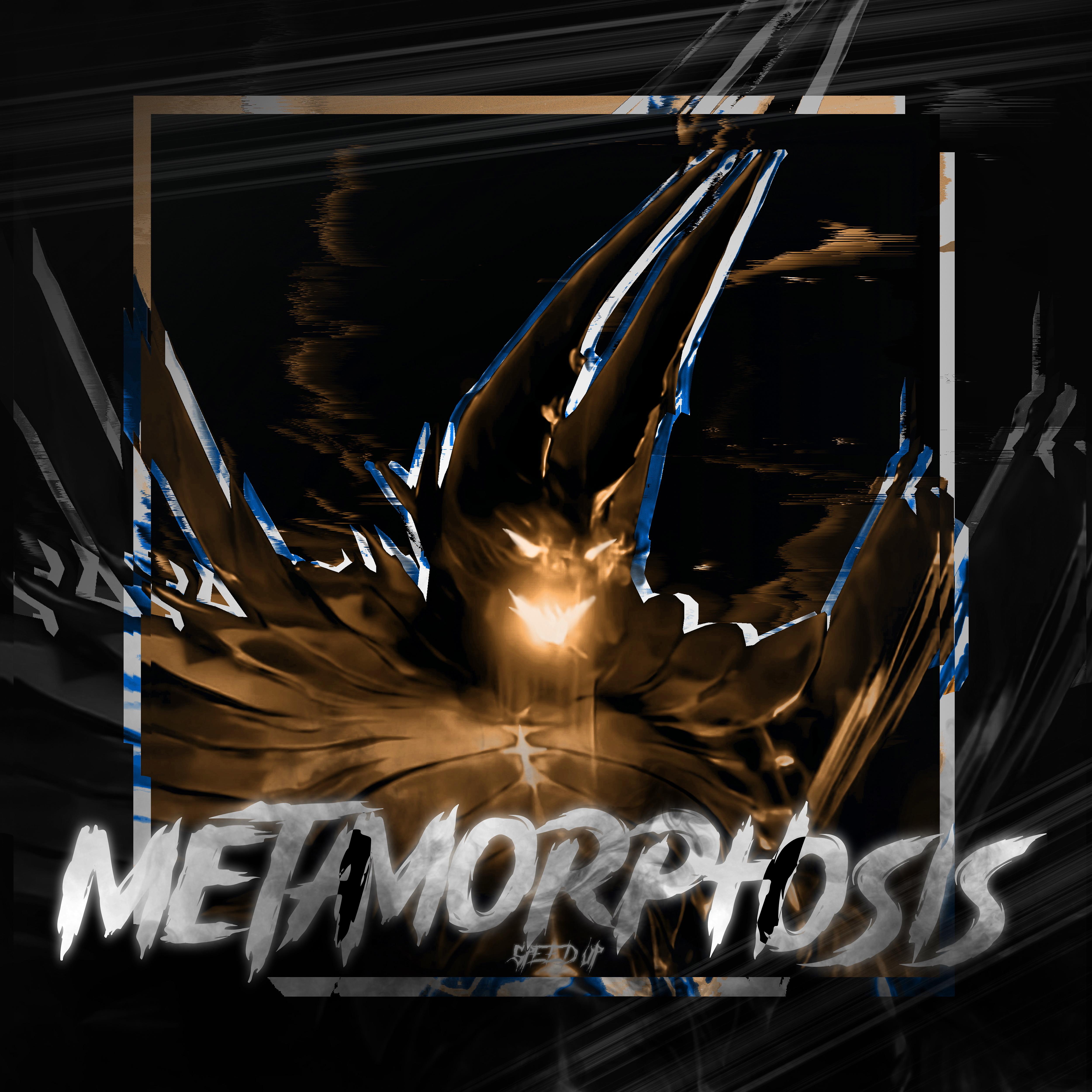 Постер альбома Metamorphosis (Speed Up)