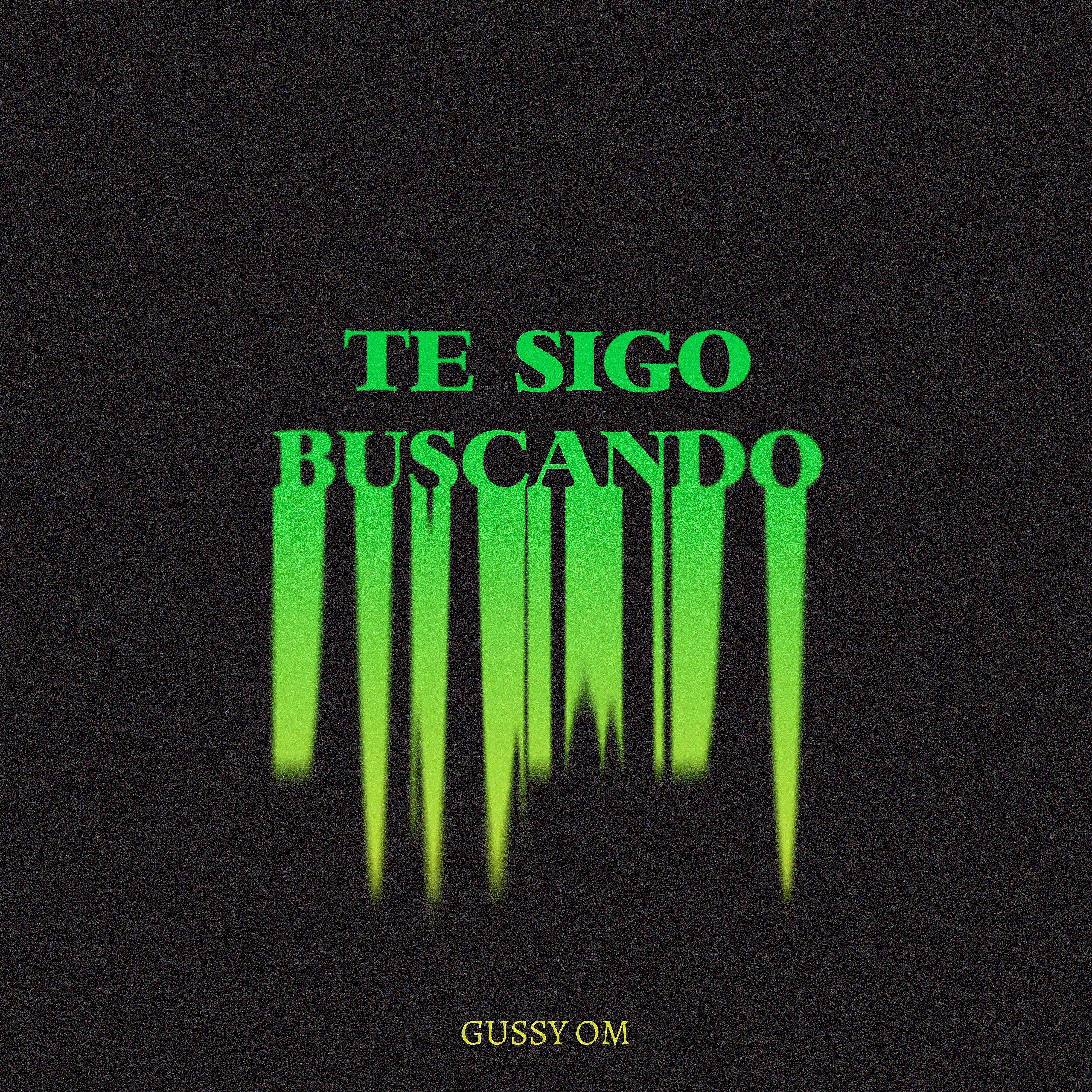 Постер альбома Te Sigo Buscando