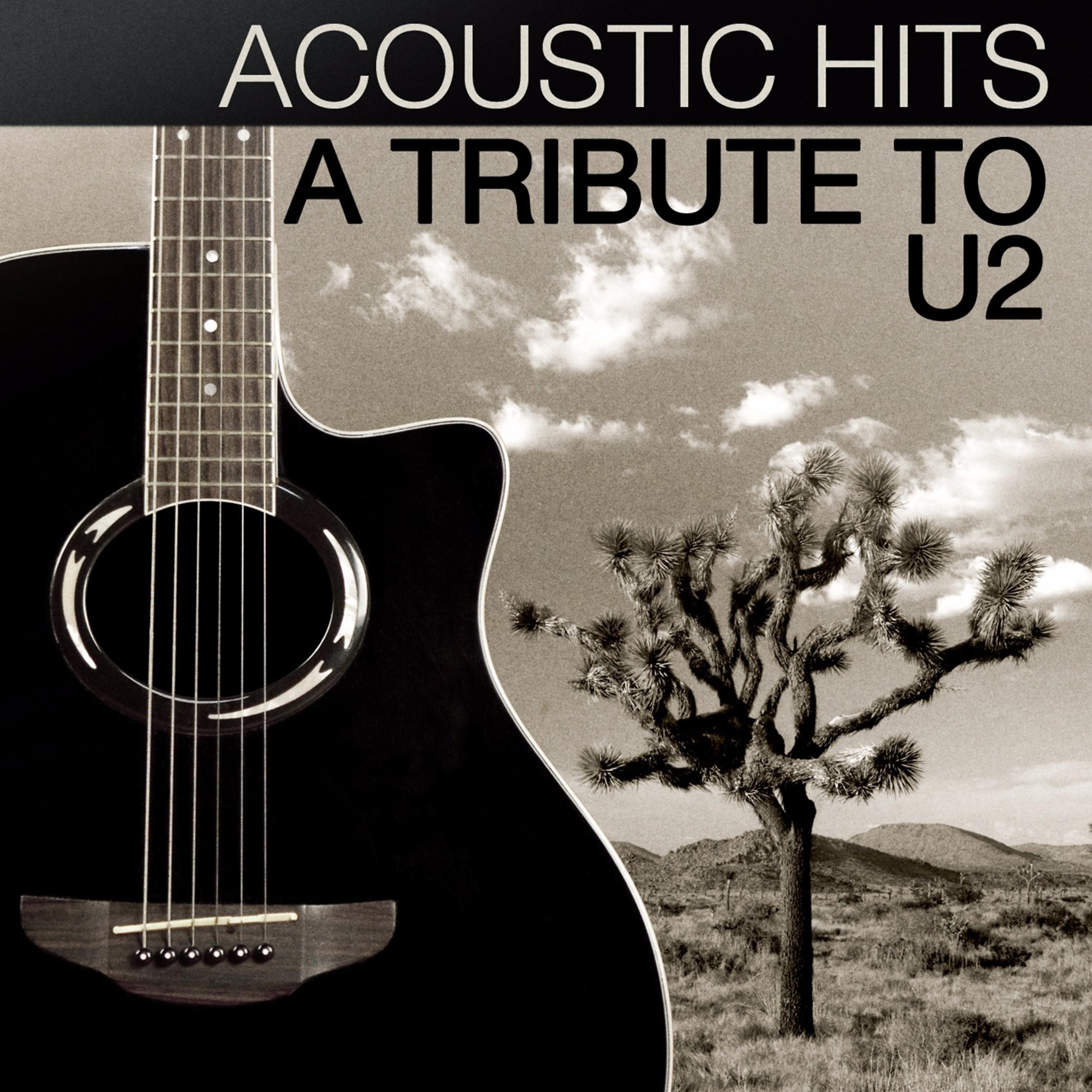 Постер альбома Acoustic Hits: A Tribute to U2