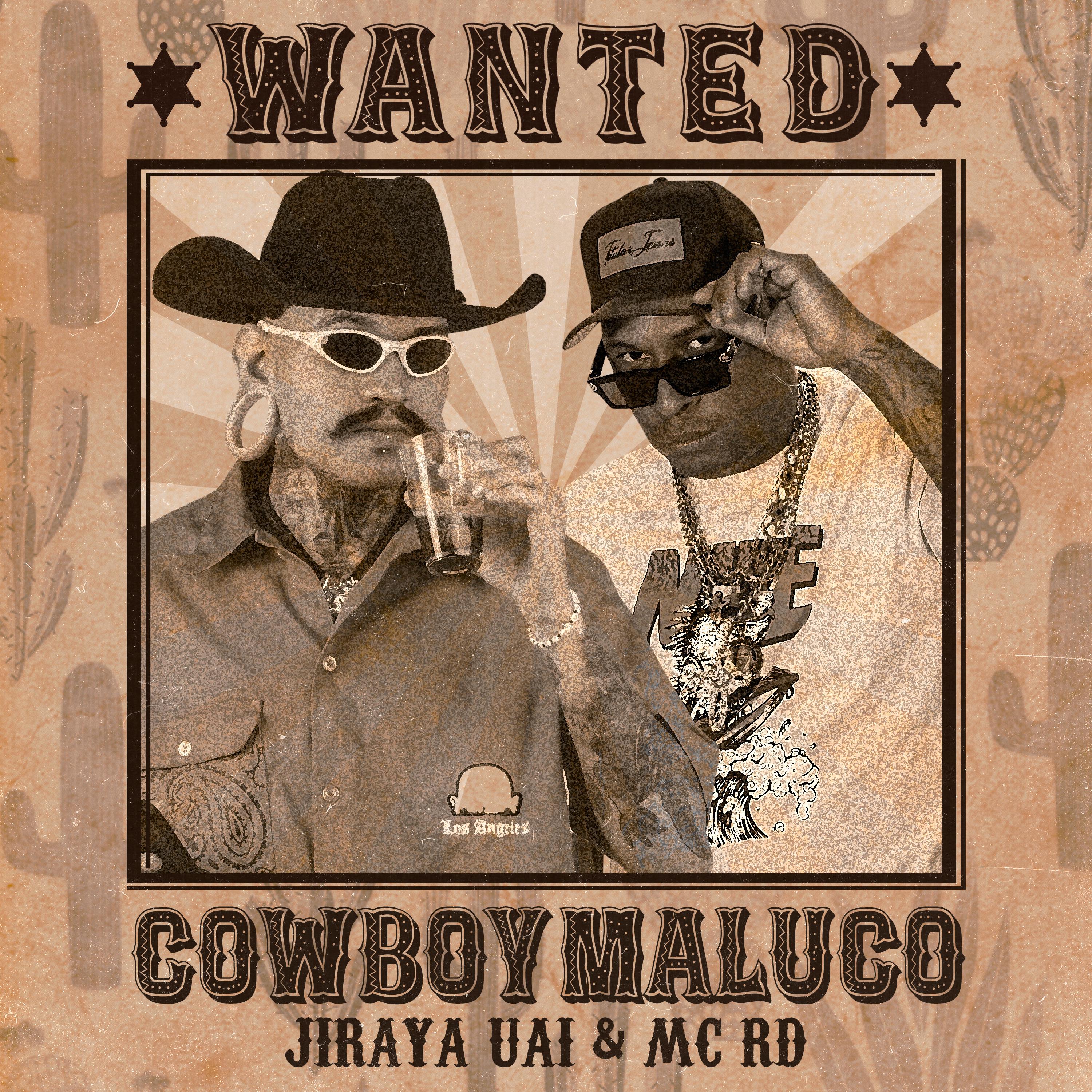 Постер альбома Cowboy Maluco