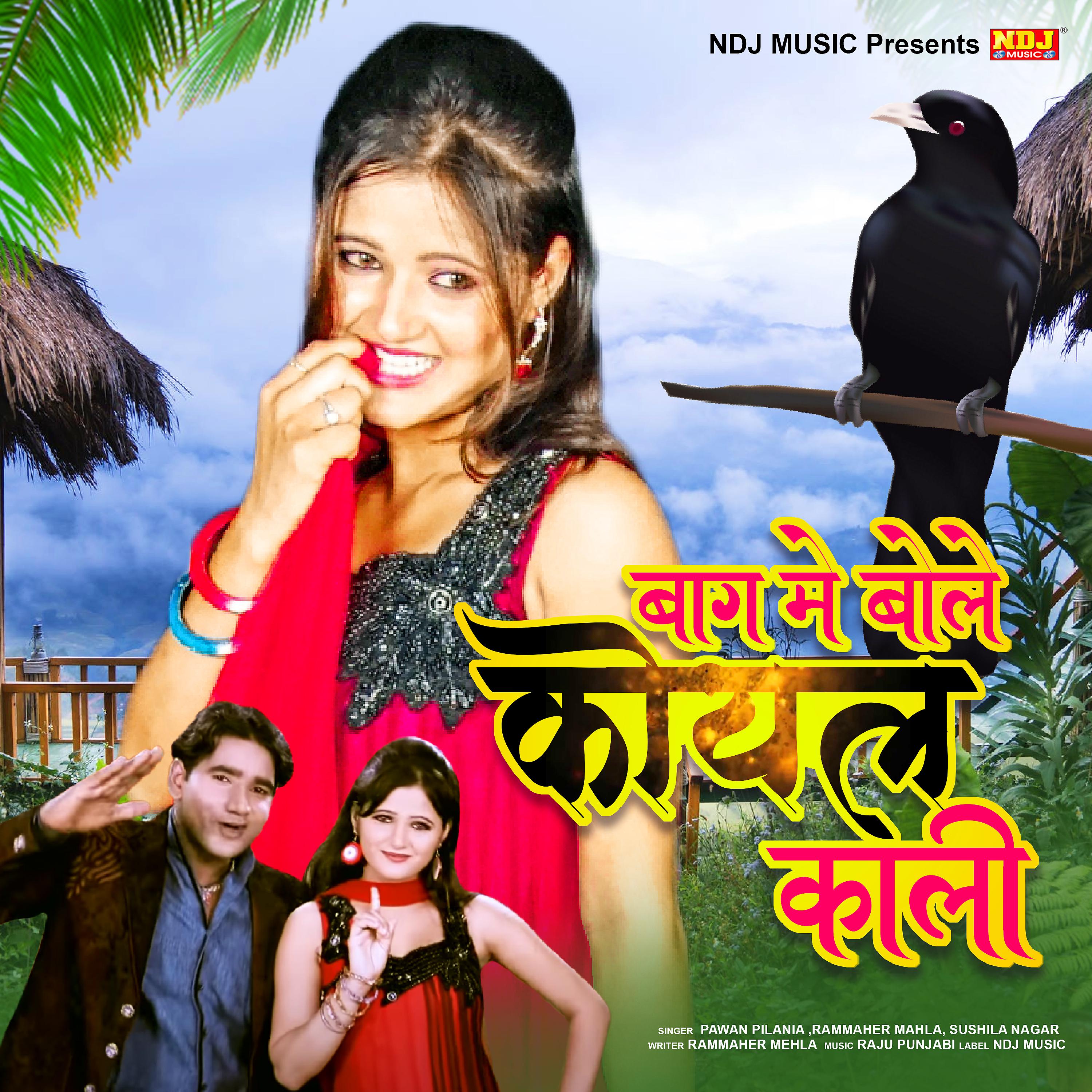 Постер альбома Baagh Me Bole Koyal Kali