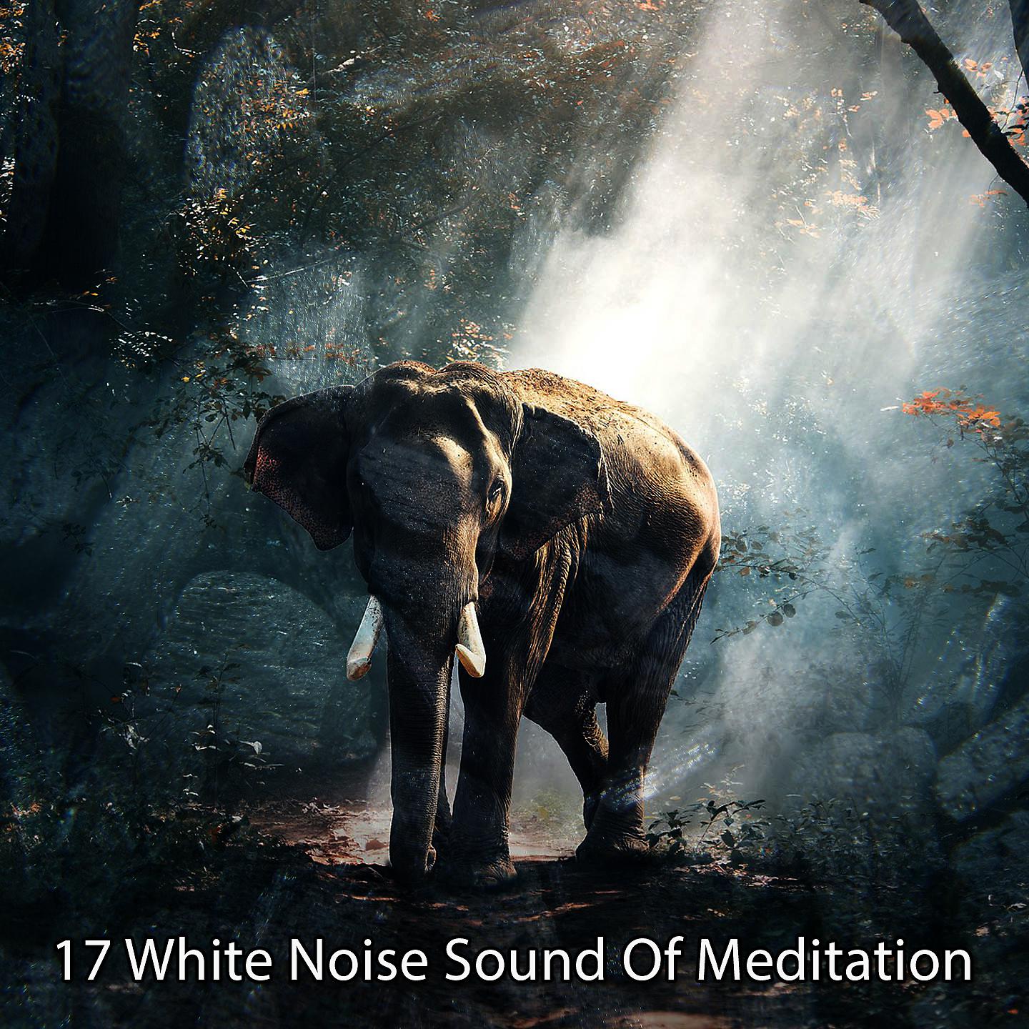 Постер альбома 17 Белый шум Звук медитации