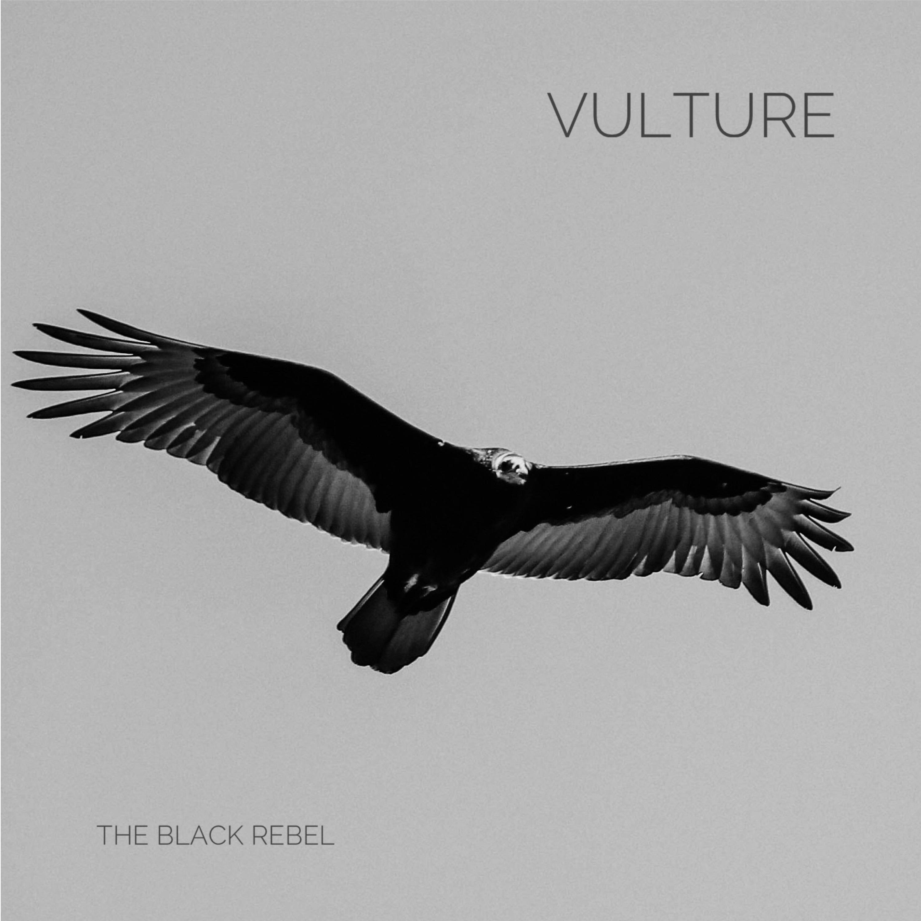 Постер альбома Vulture