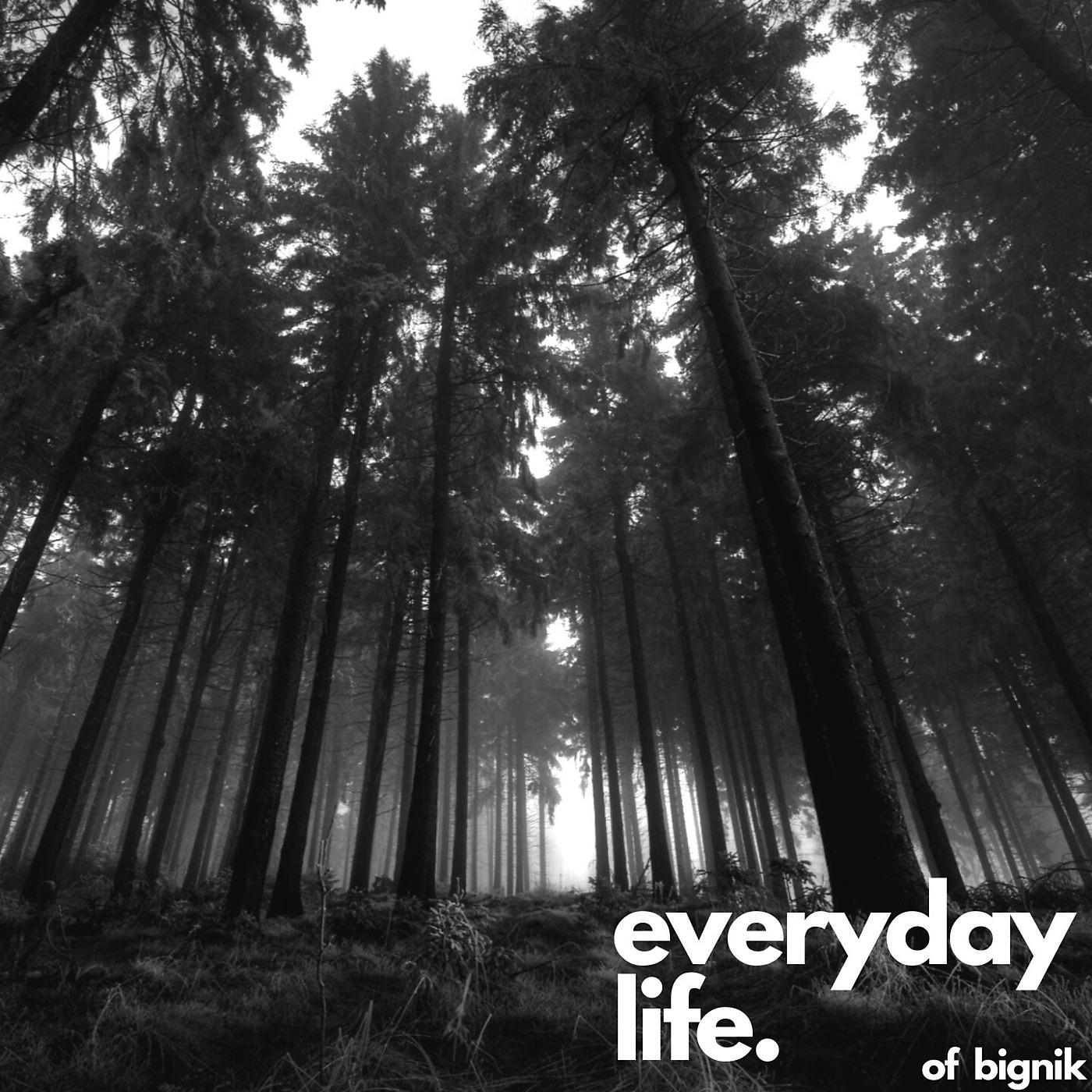 Постер альбома Everyday Life