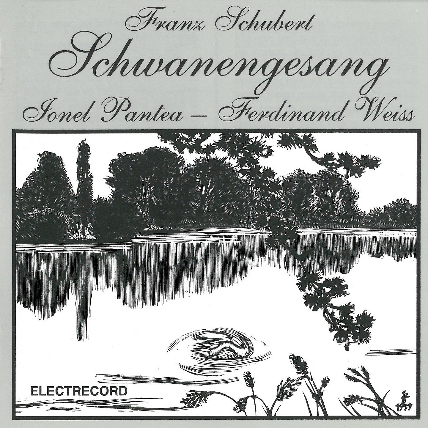 Постер альбома Schwanengesang