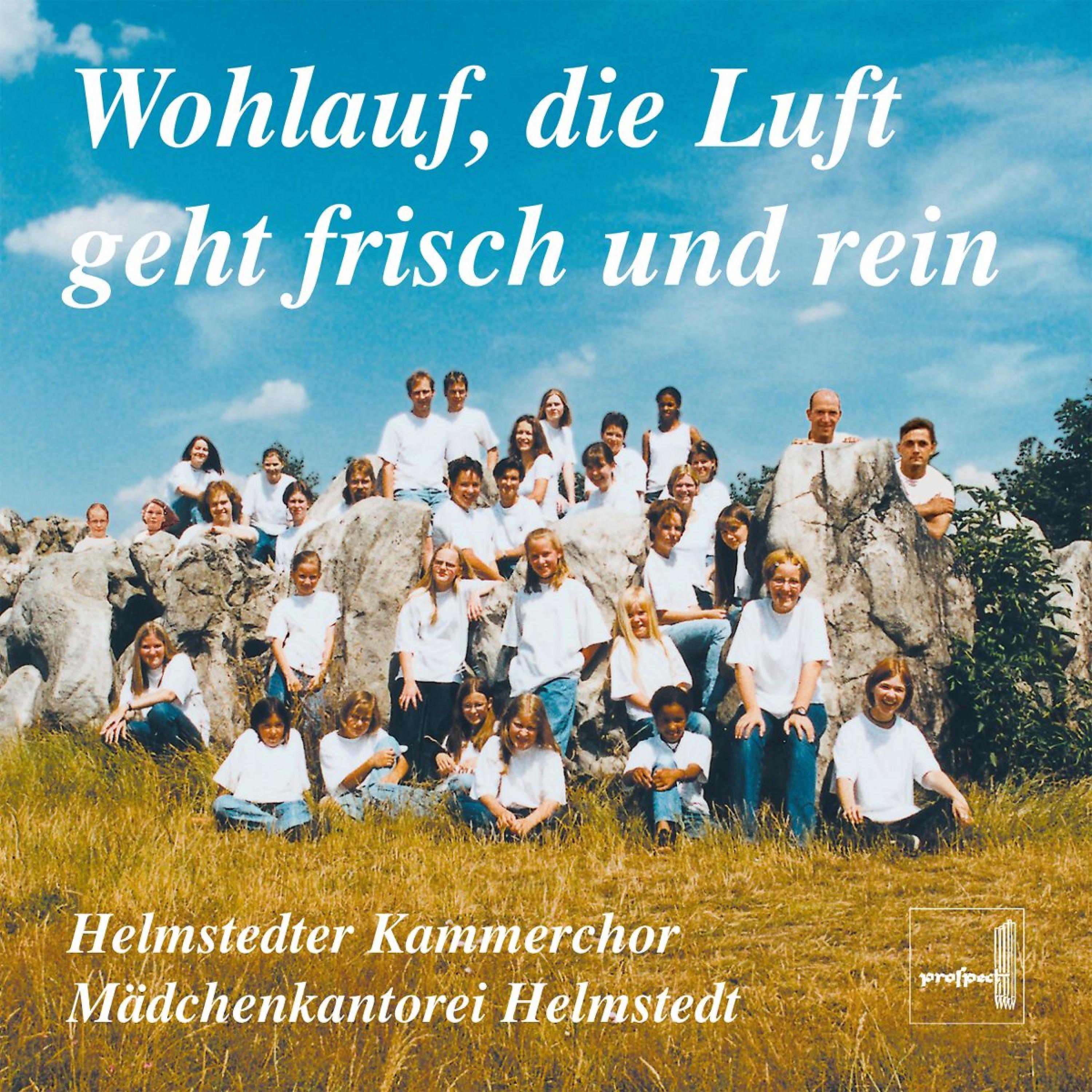 Постер альбома Wohlauf Die Luft Geht ...