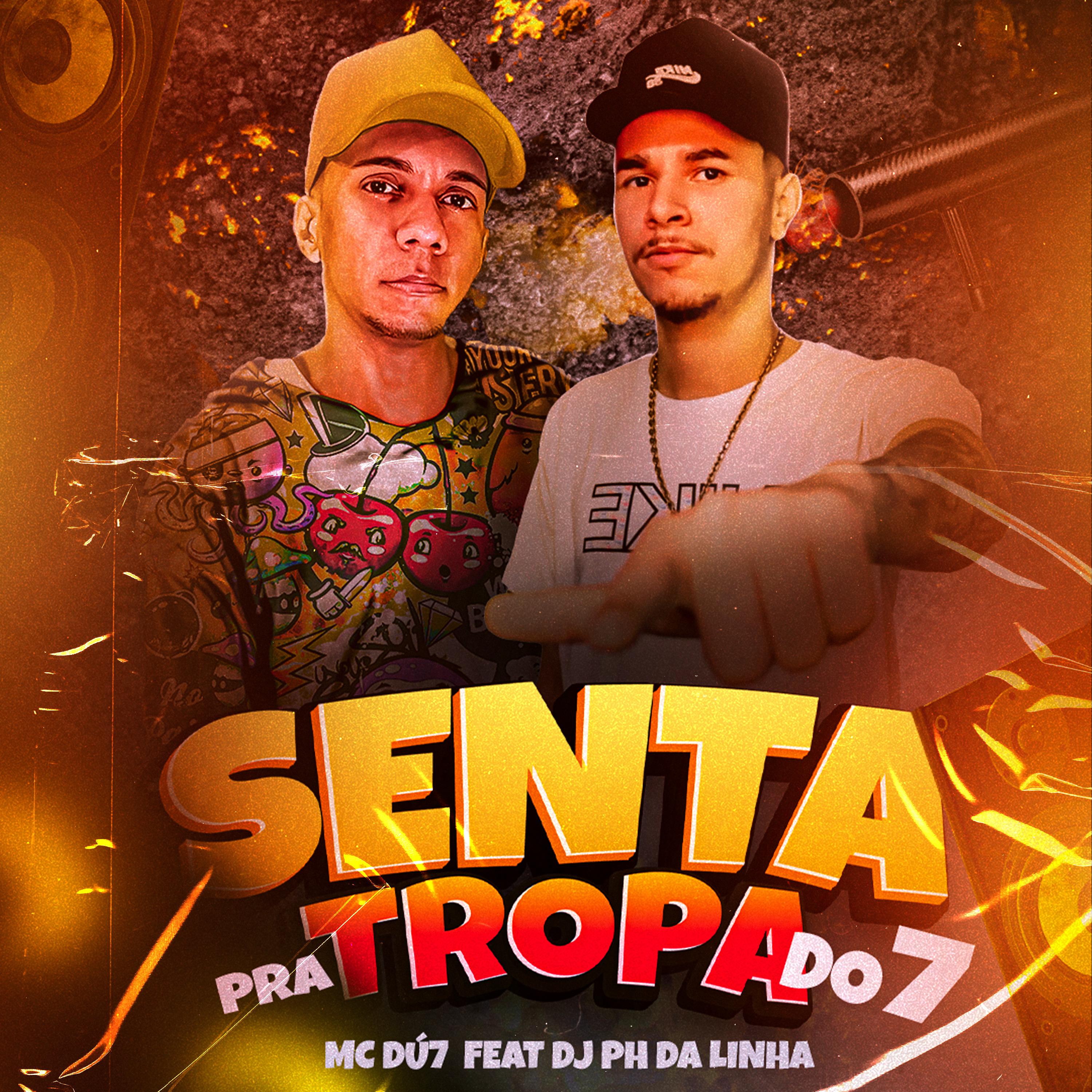 Постер альбома Senta pra Tropa do 7