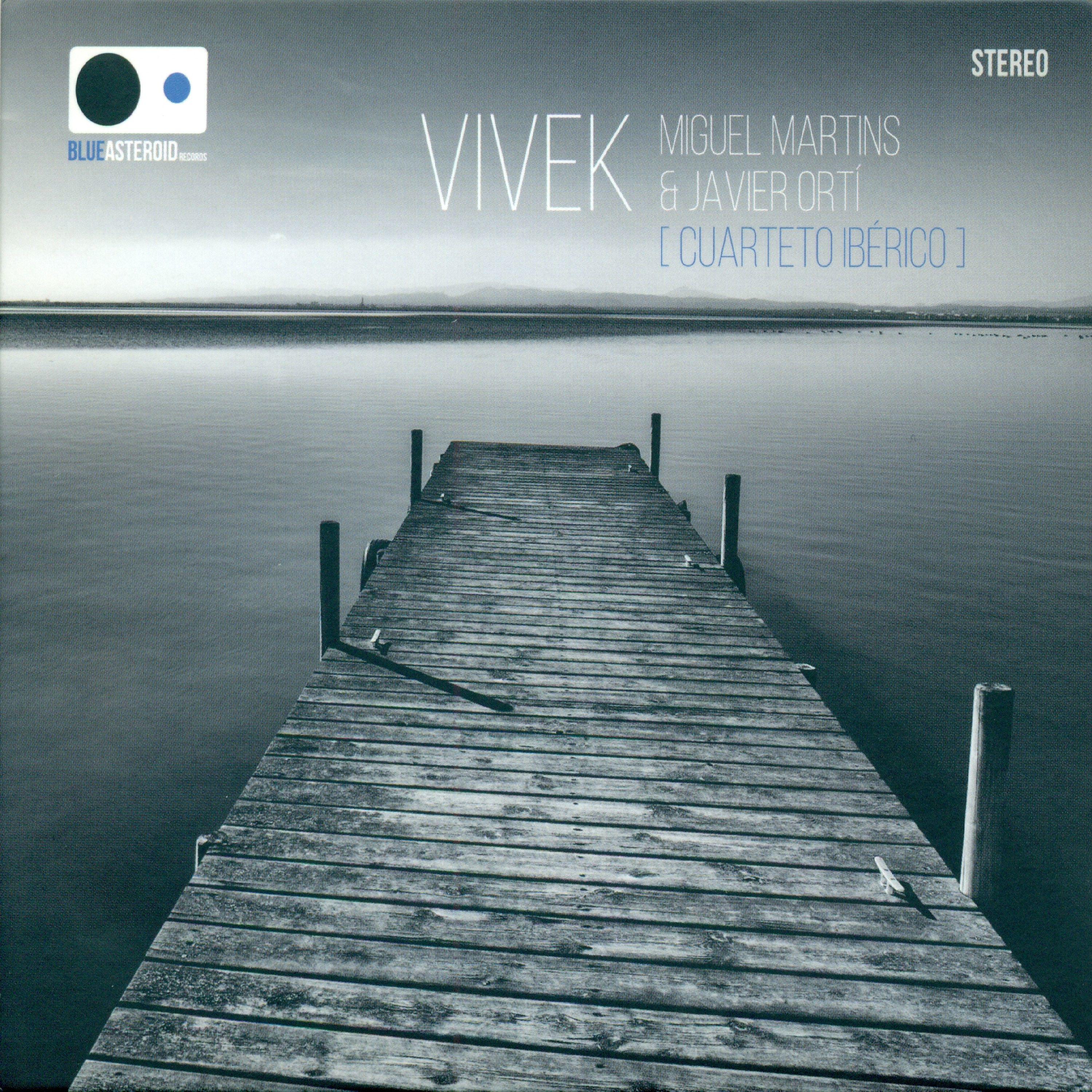 Постер альбома Vivek