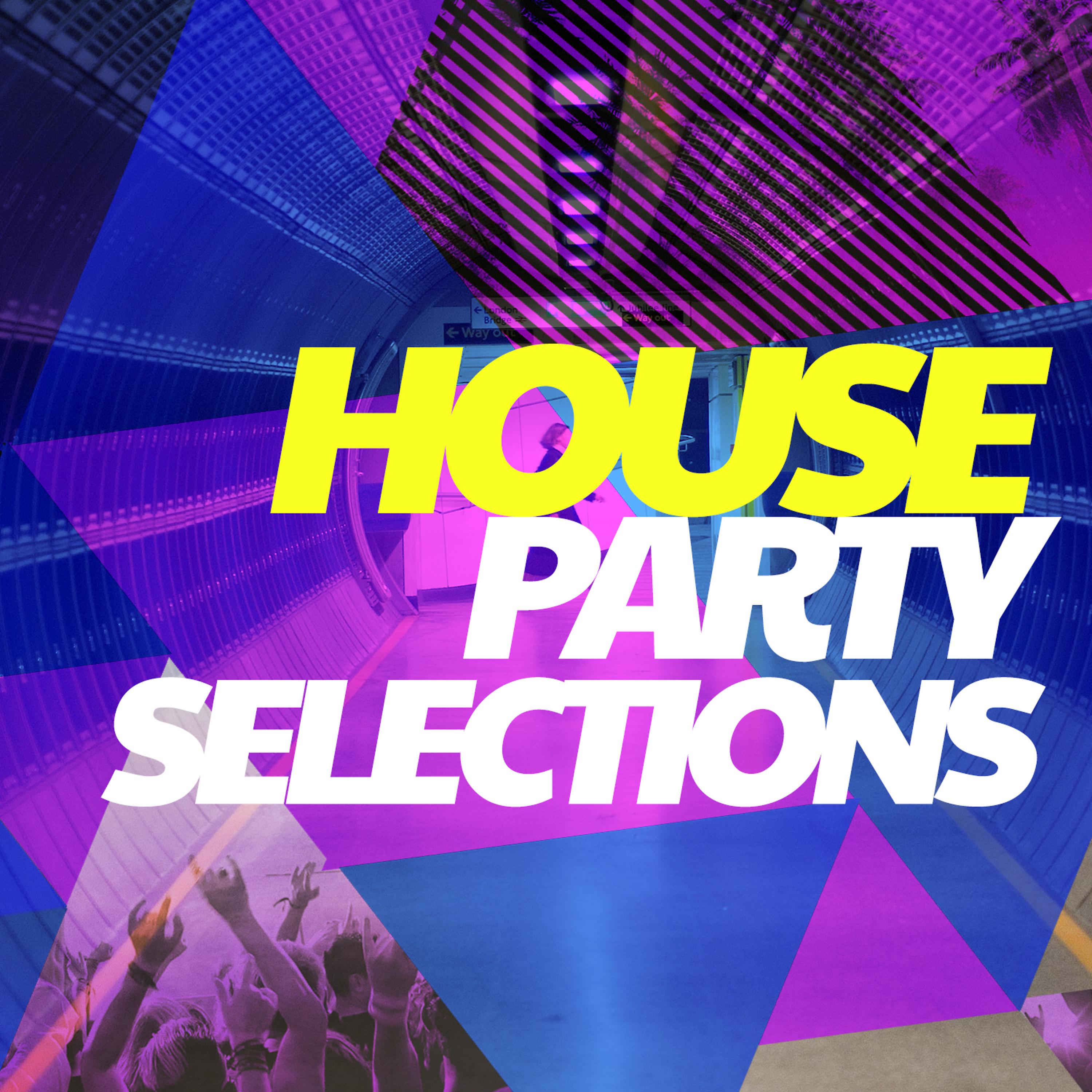 Постер альбома House Party Selections