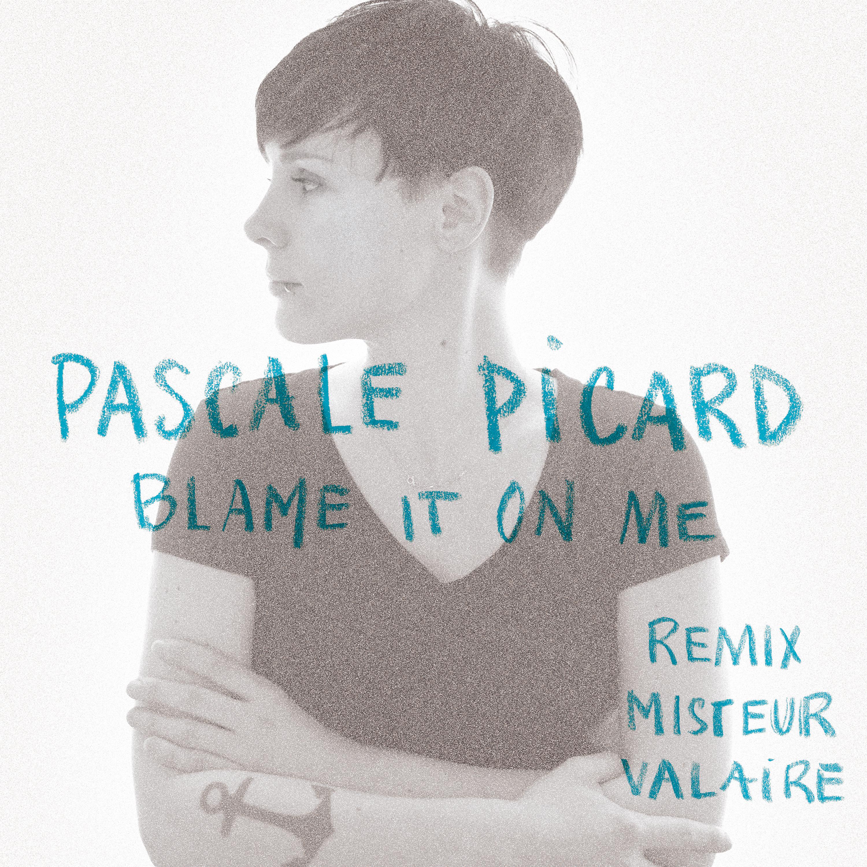 Постер альбома Blame It On Me (Remix Misteur Valaire)