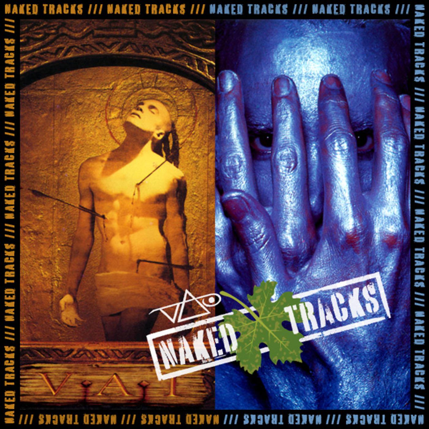 Постер альбома Naked Tracks Vol. 2 (Alien Love Secrets / Sex & Religion - Mixes With No Lead Guitar)