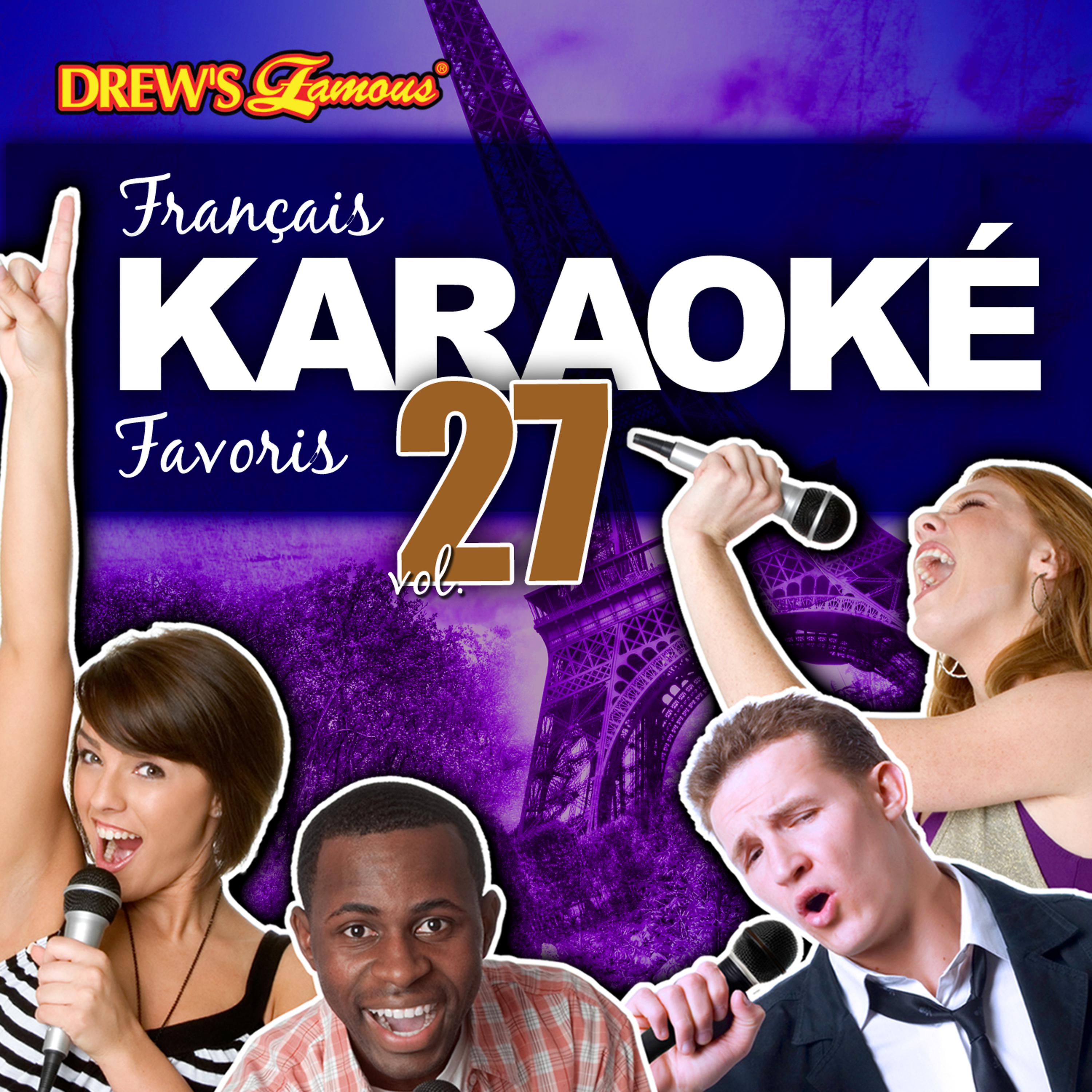Постер альбома Français Karaoké Favoris, Vol. 27