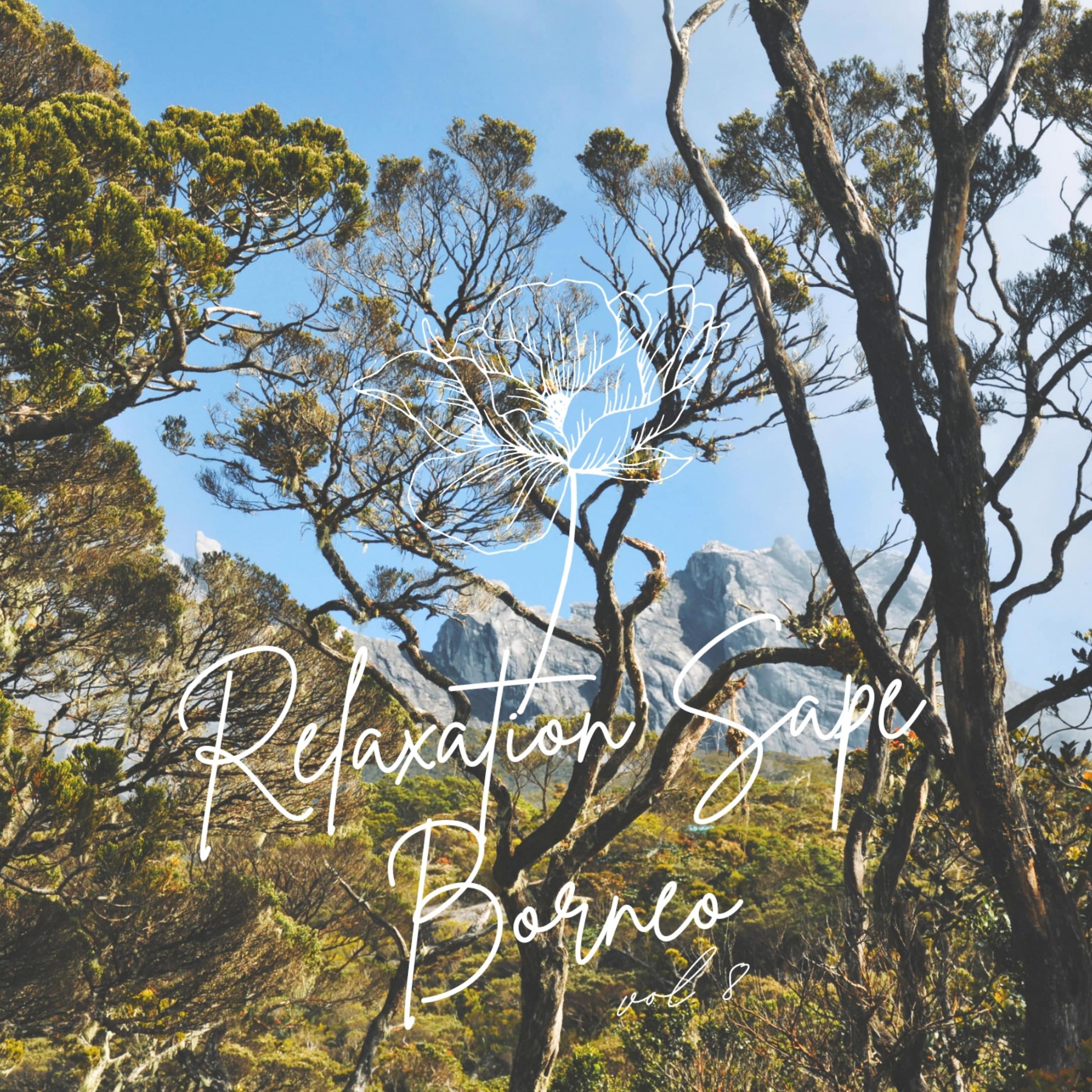 Постер альбома Relaxation Sape Borneo Vol 8