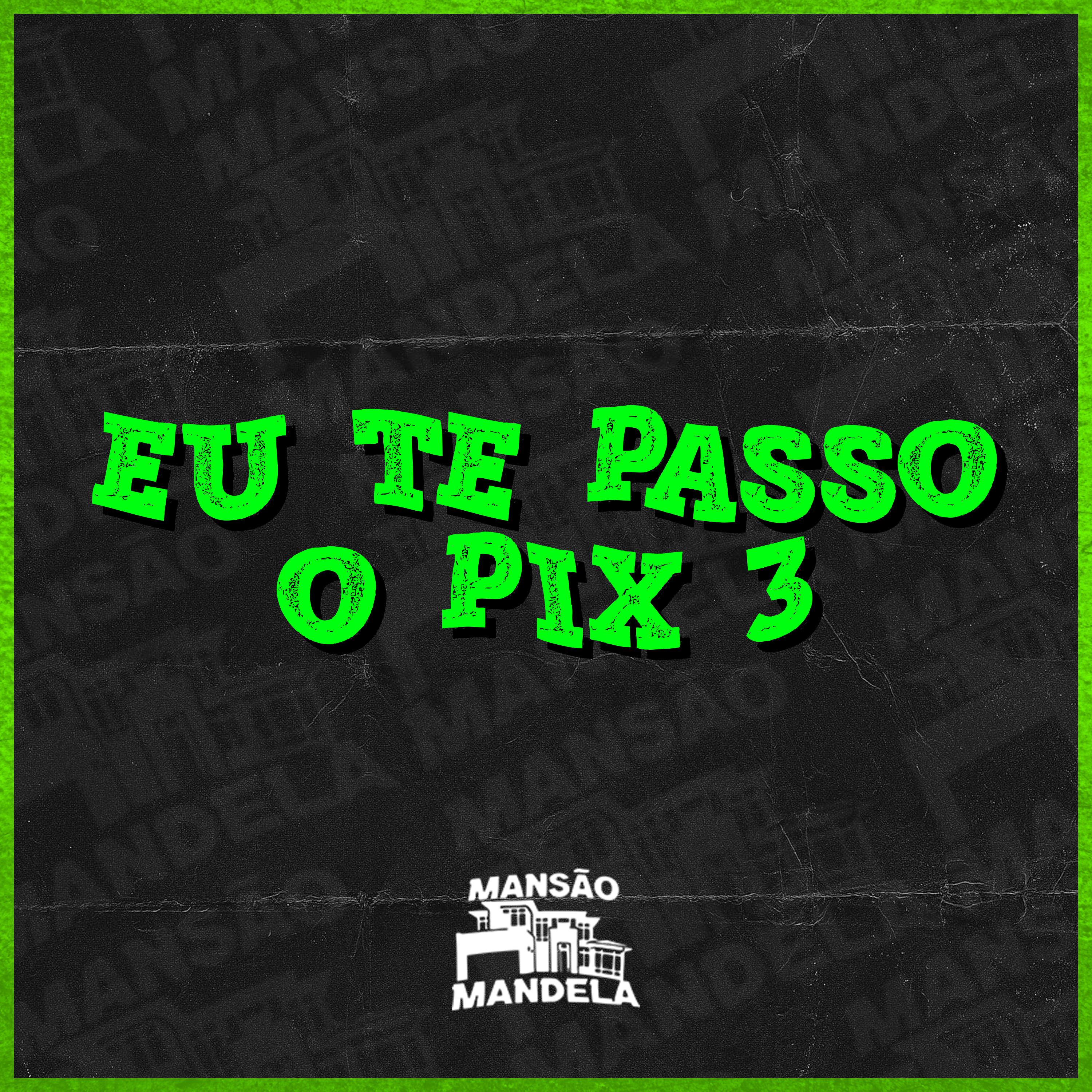 Постер альбома Eu Te Passo o Pix 3