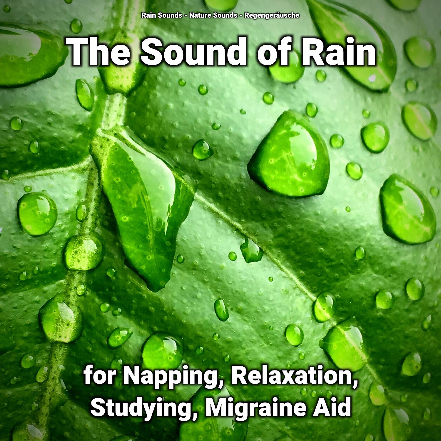 Постер альбома The Sound of Rain for Napping, Relaxation, Studying, Migraine Aid