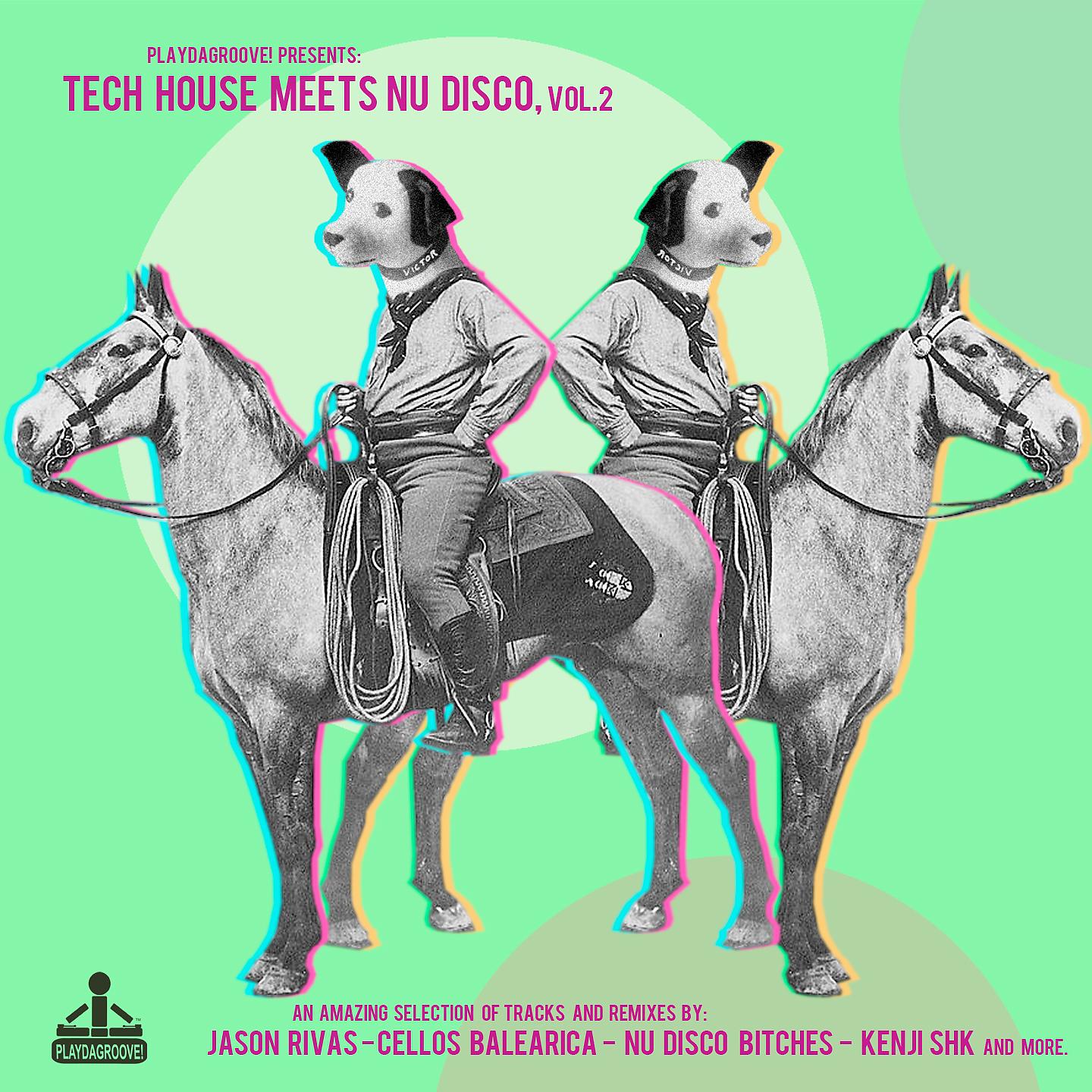Постер альбома Tech House Meets Nu Disco, Vol. 2