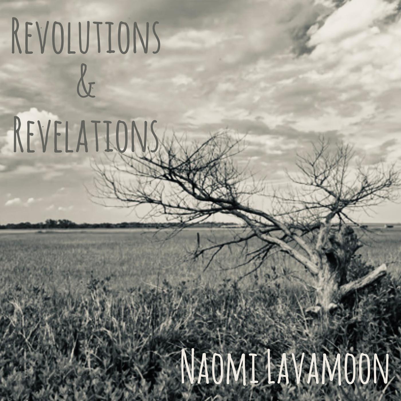 Постер альбома Revolutions and Revelations