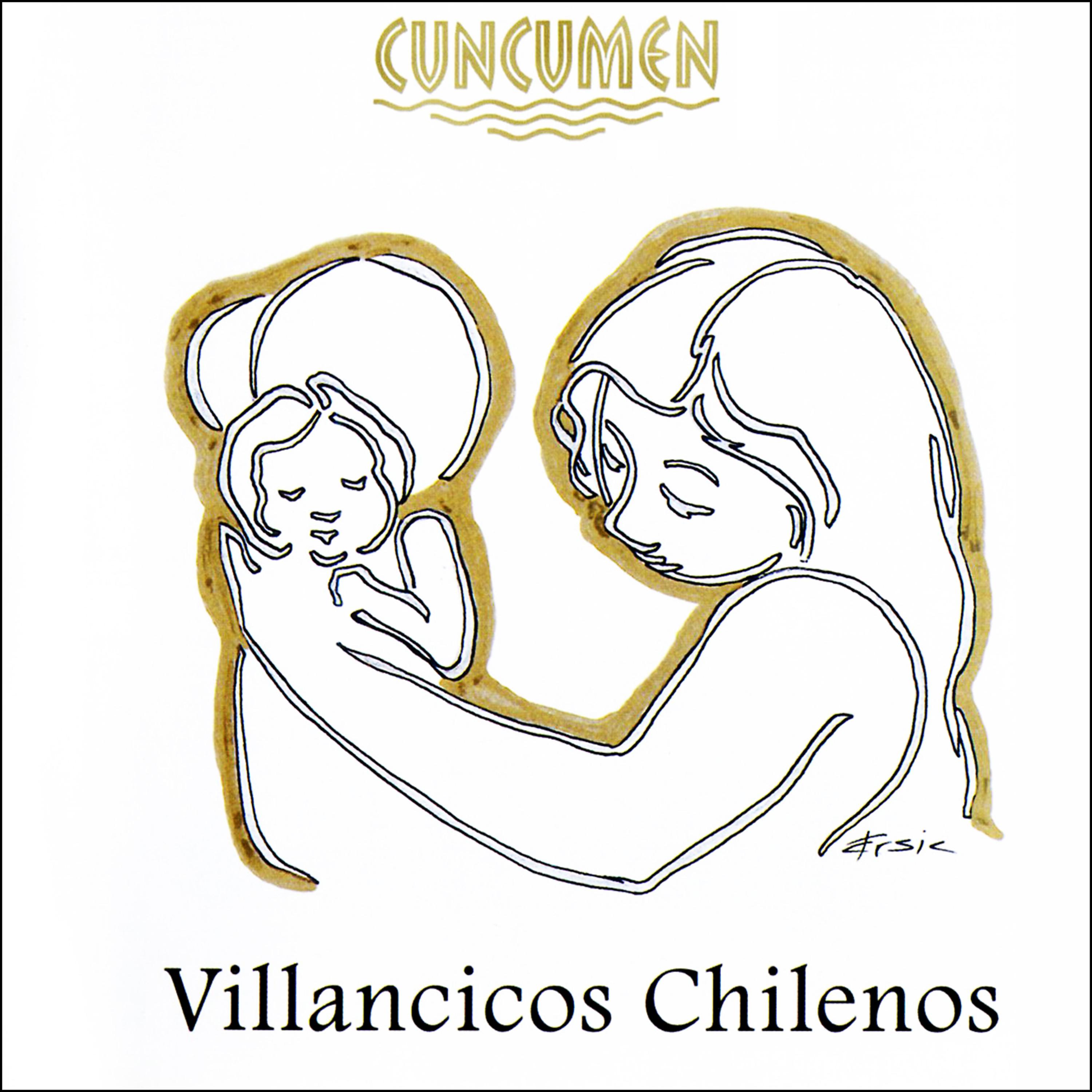 Постер альбома Villancicos Chilenos
