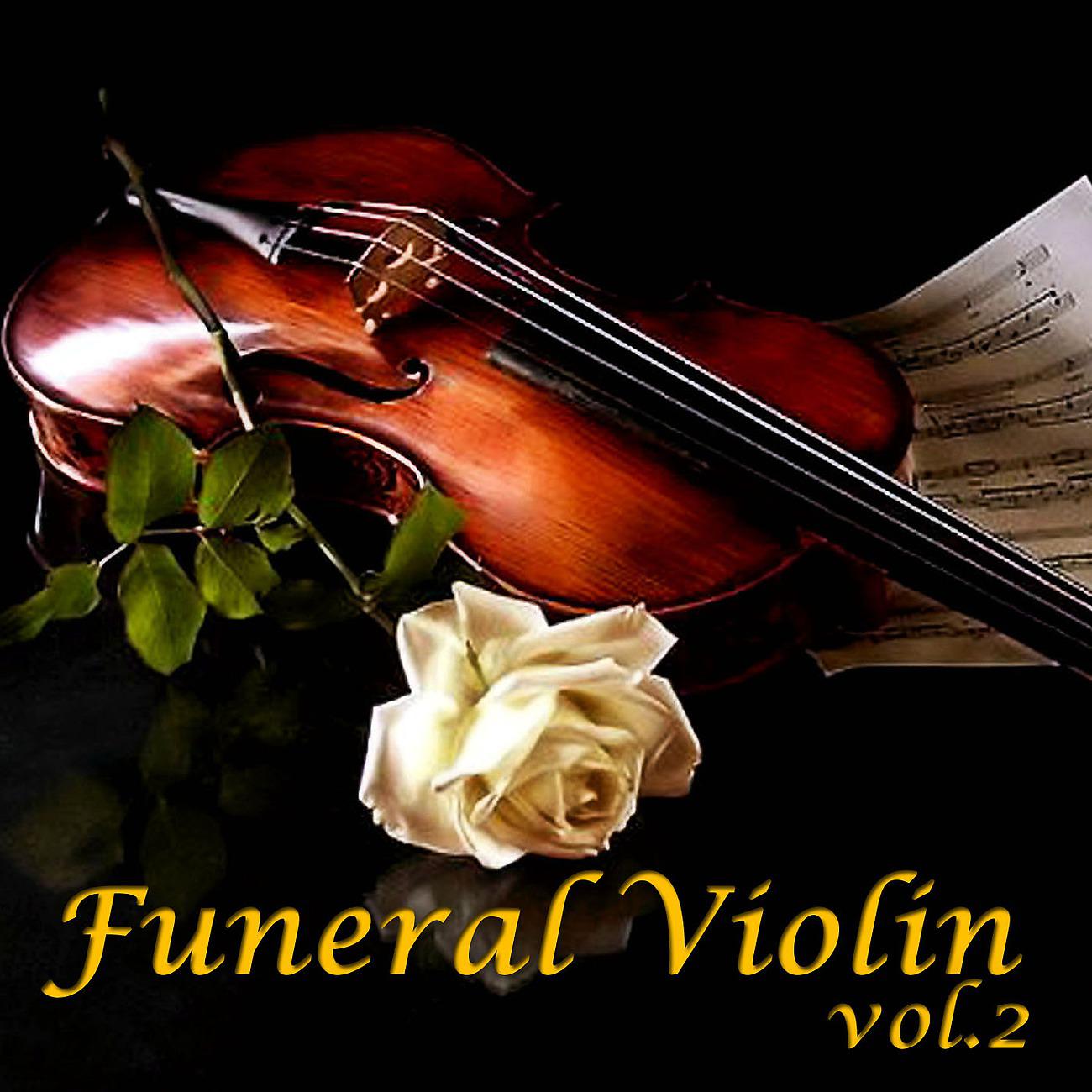 Постер альбома Funeral Violin Vol.2