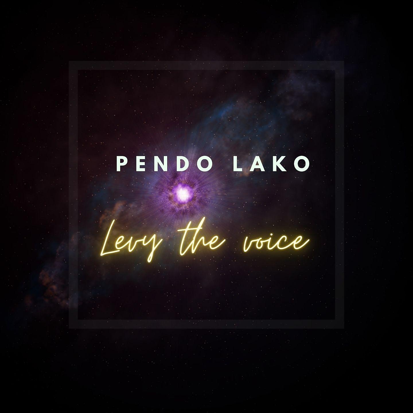 Постер альбома Pendo Lako