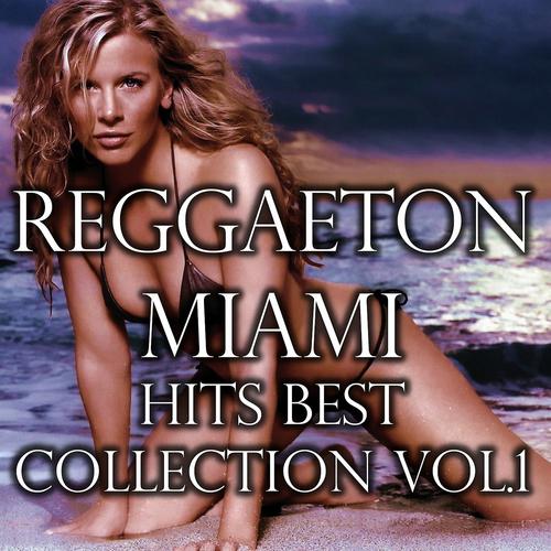 Постер альбома Reggaeton Miami Hits Best Collection, Vol.1