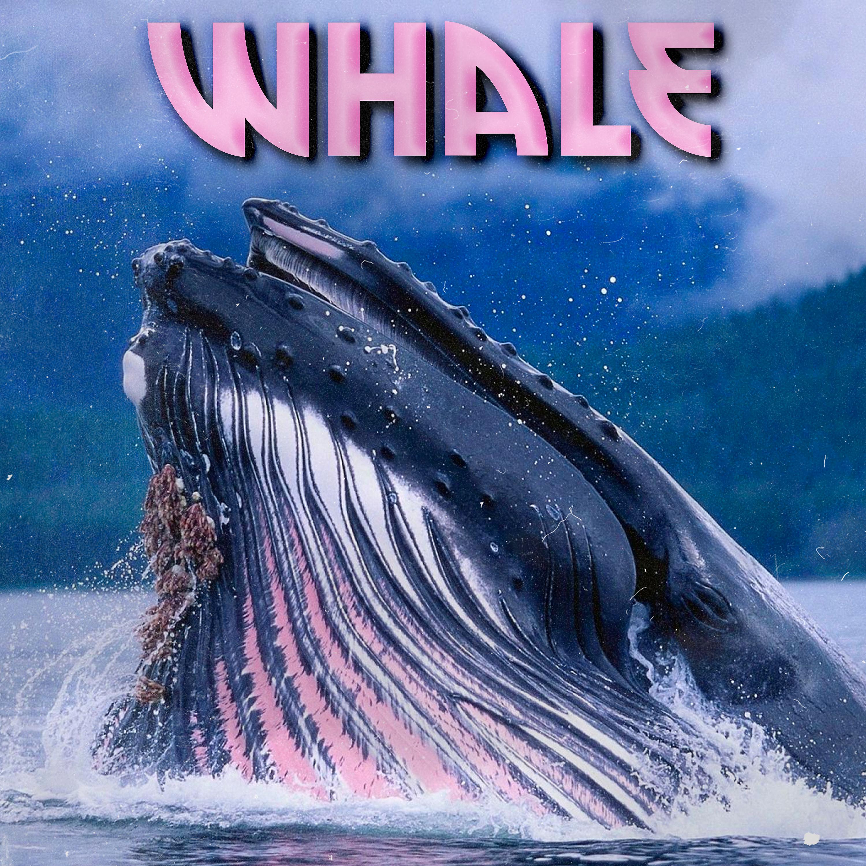 Постер альбома Whale