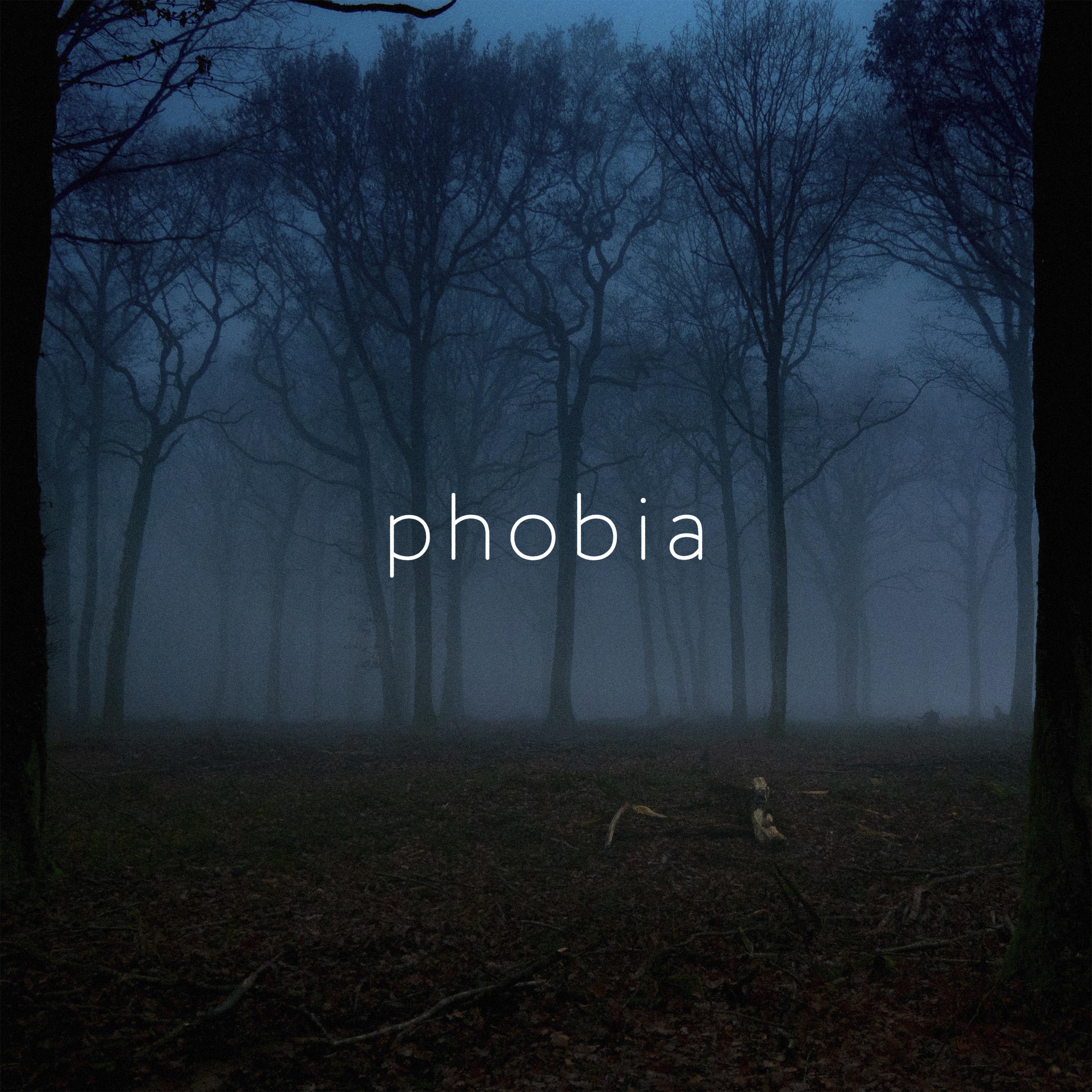 Постер альбома phobia