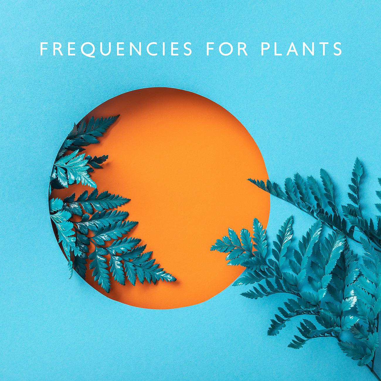 Постер альбома Frequencies for Plants