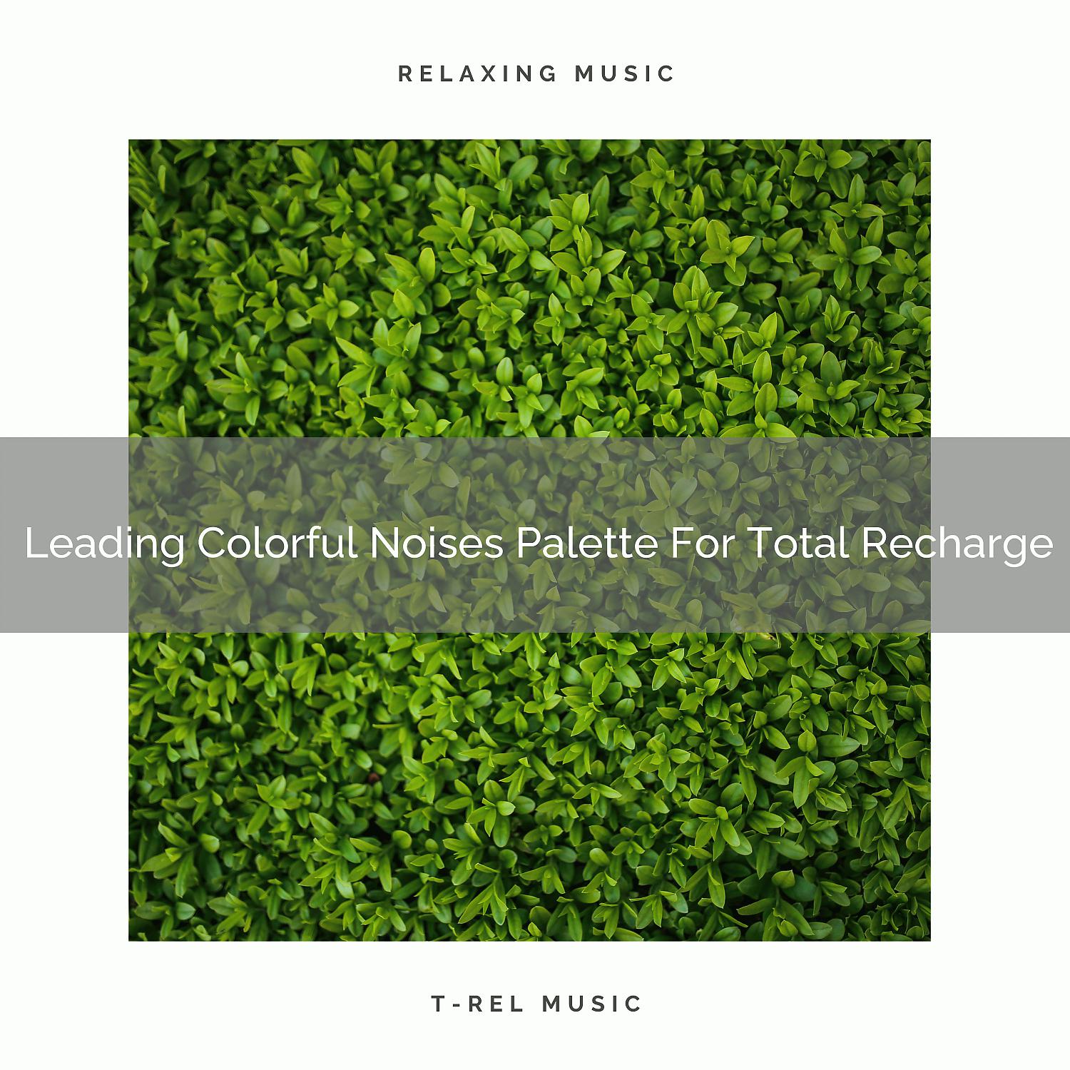 Постер альбома Leading Colorful Noises Palette For Total Recharge