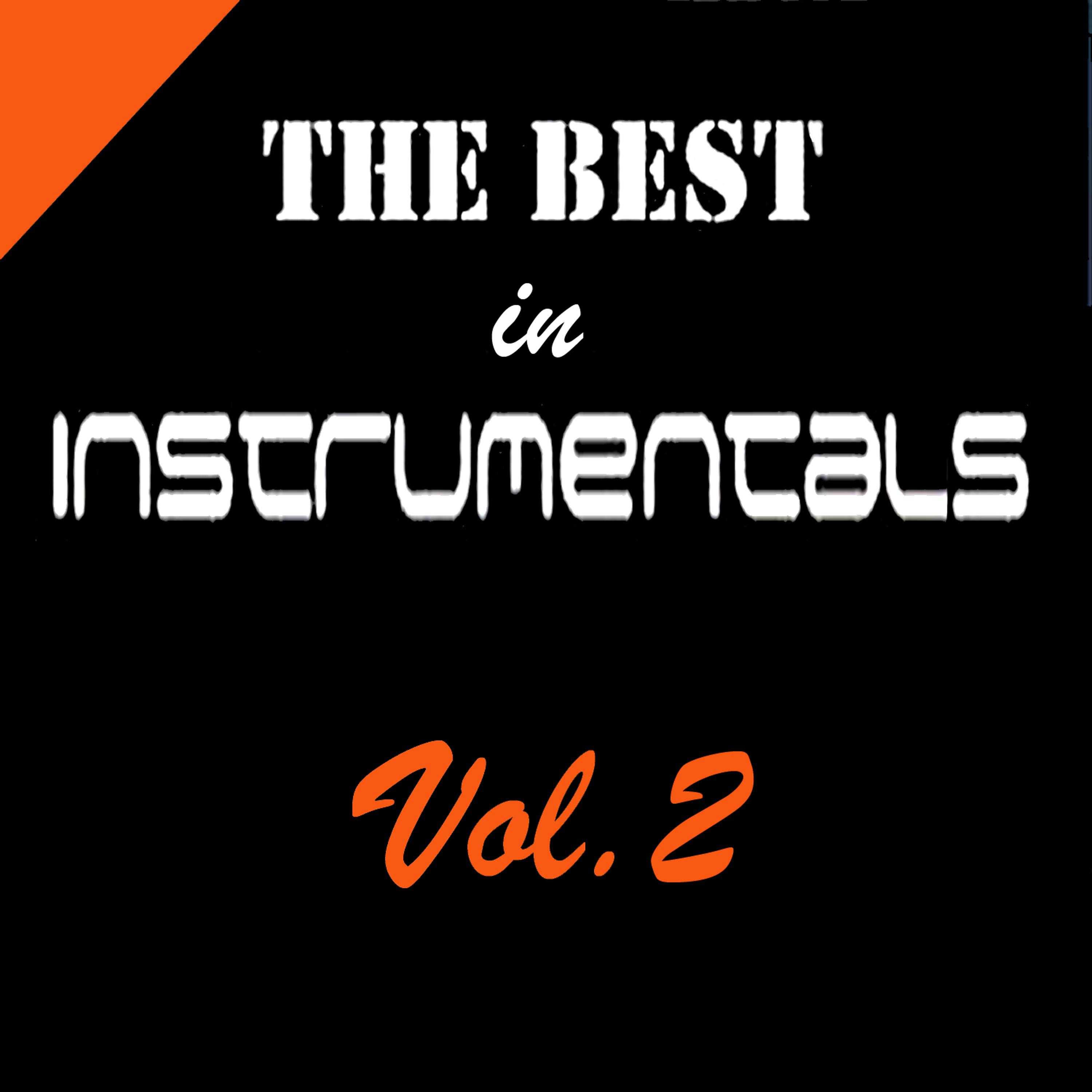 Постер альбома The Best in Instrumentals, Vol. 2