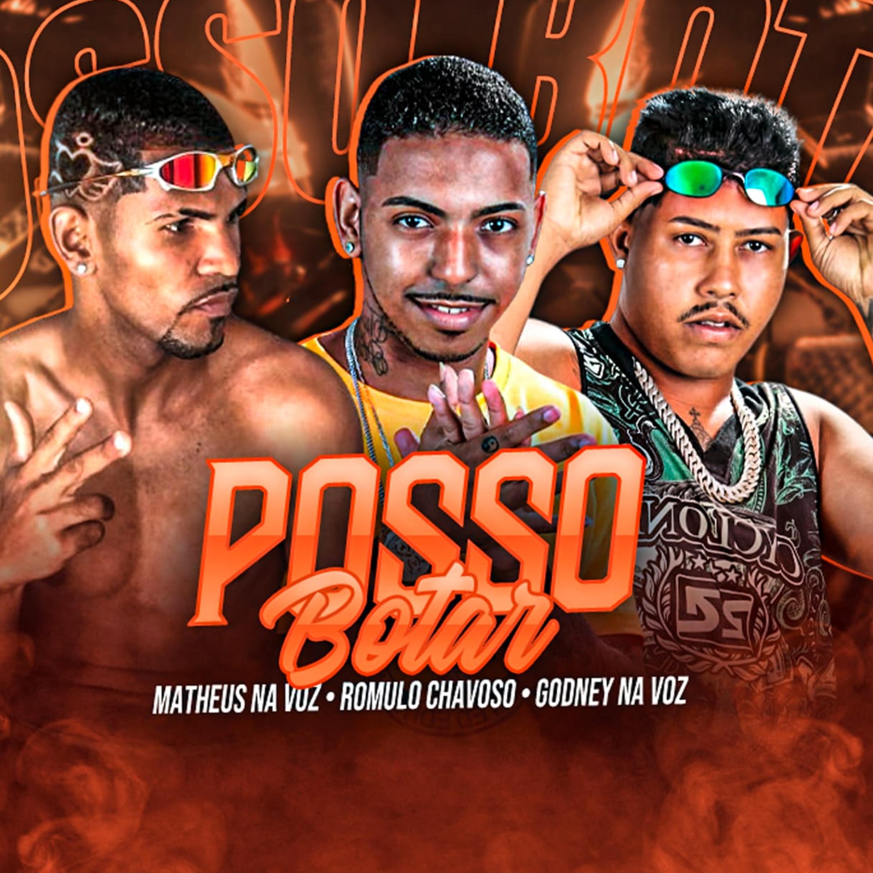 Постер альбома Posso Botar