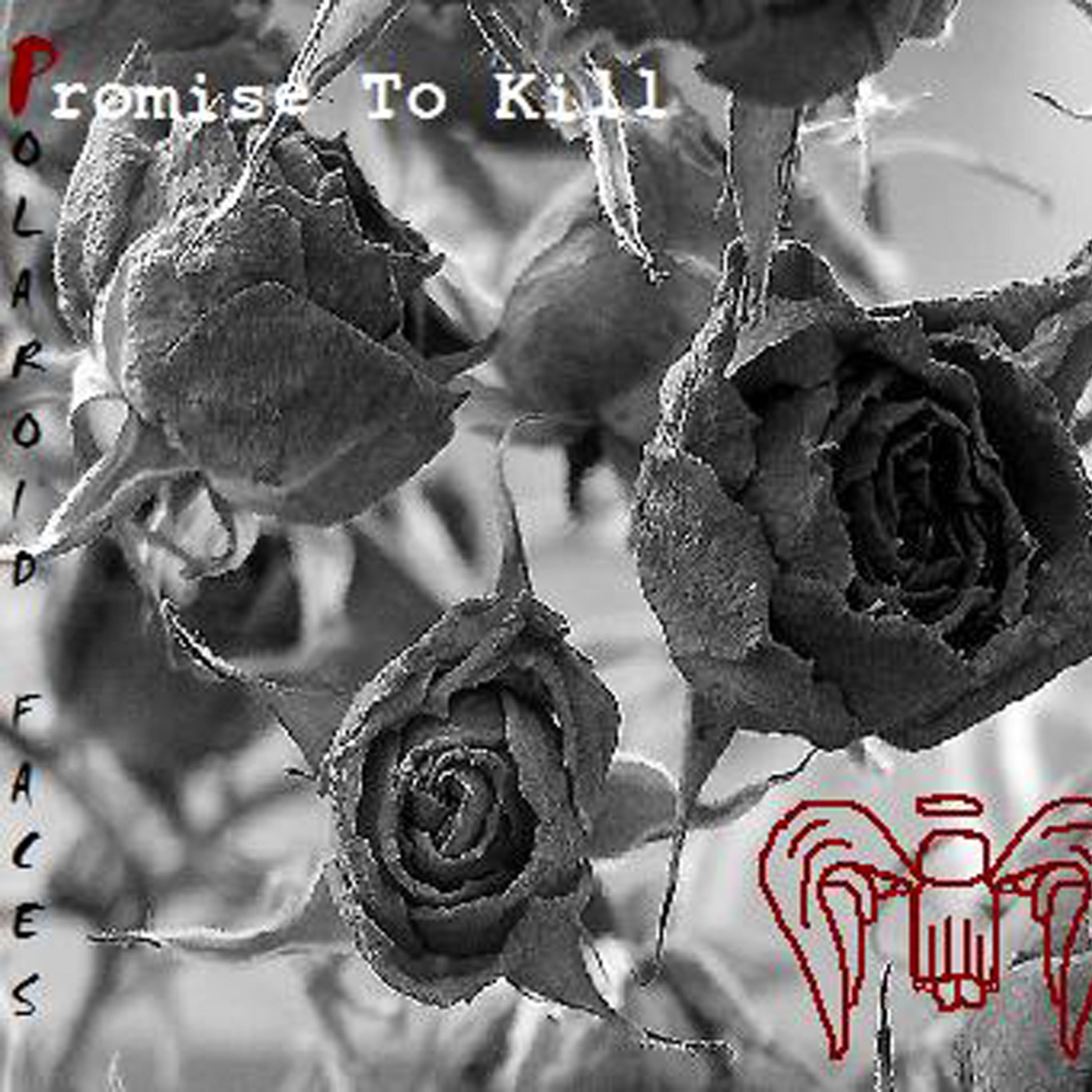 Постер альбома Promise To Kill
