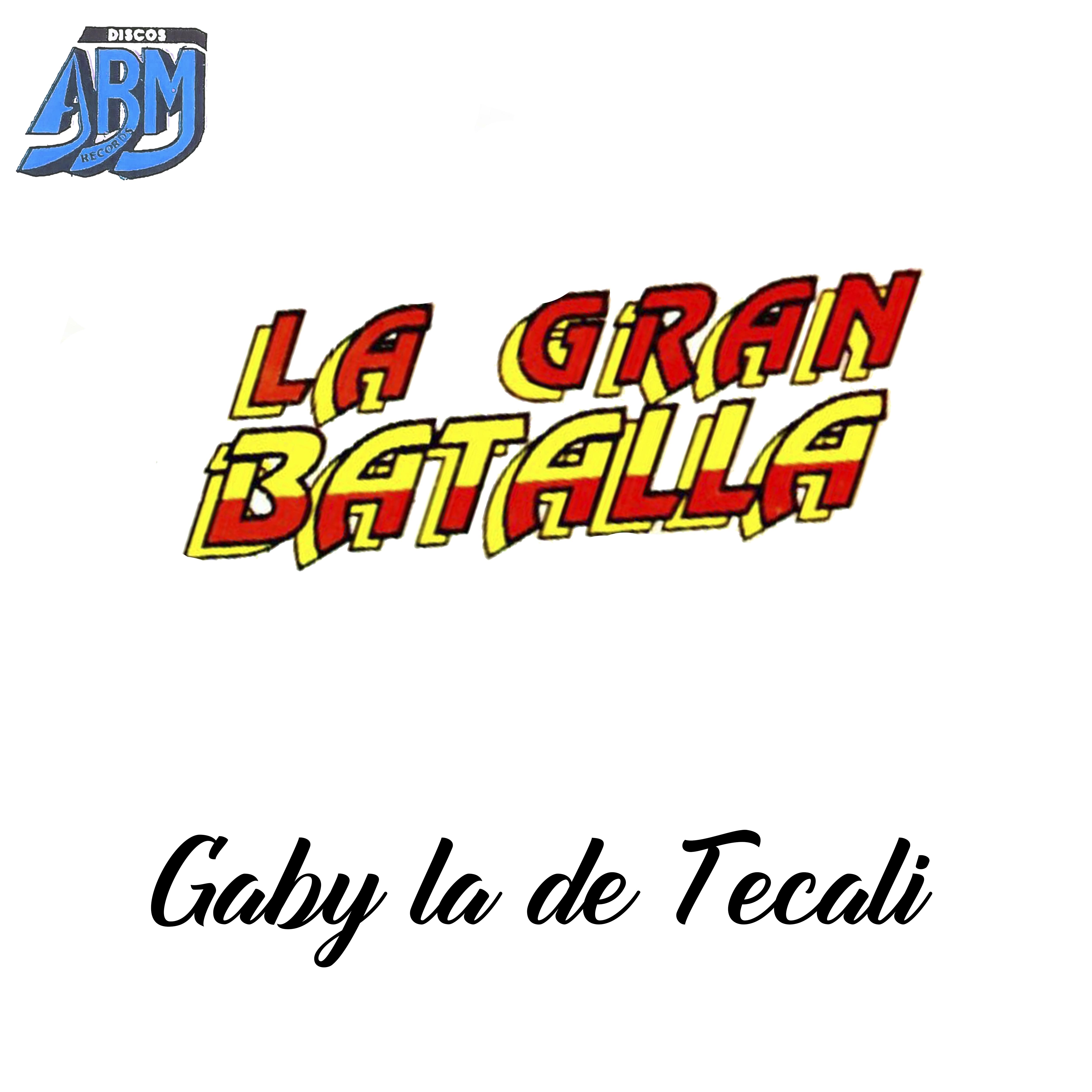 Постер альбома Gaby la de Tecali