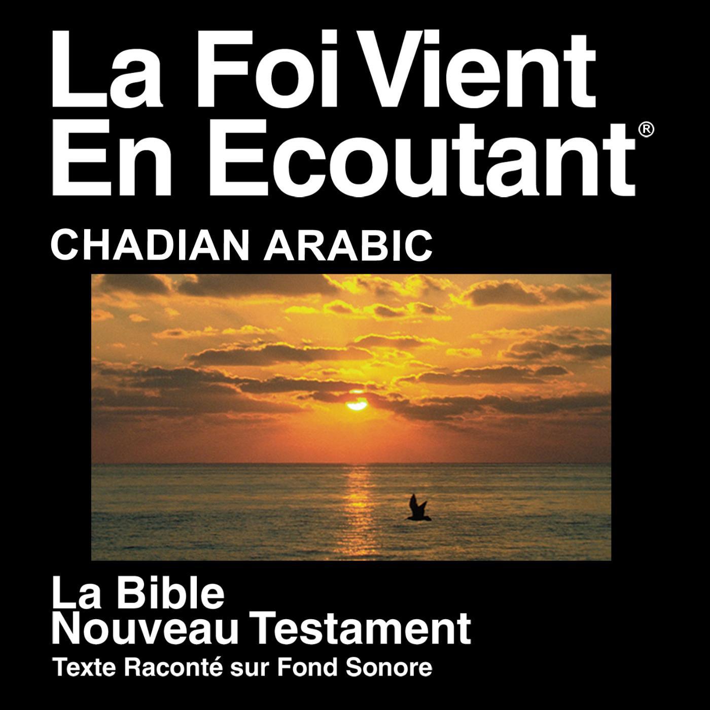 Постер альбома Arabic (Chadian) Bible - Injil