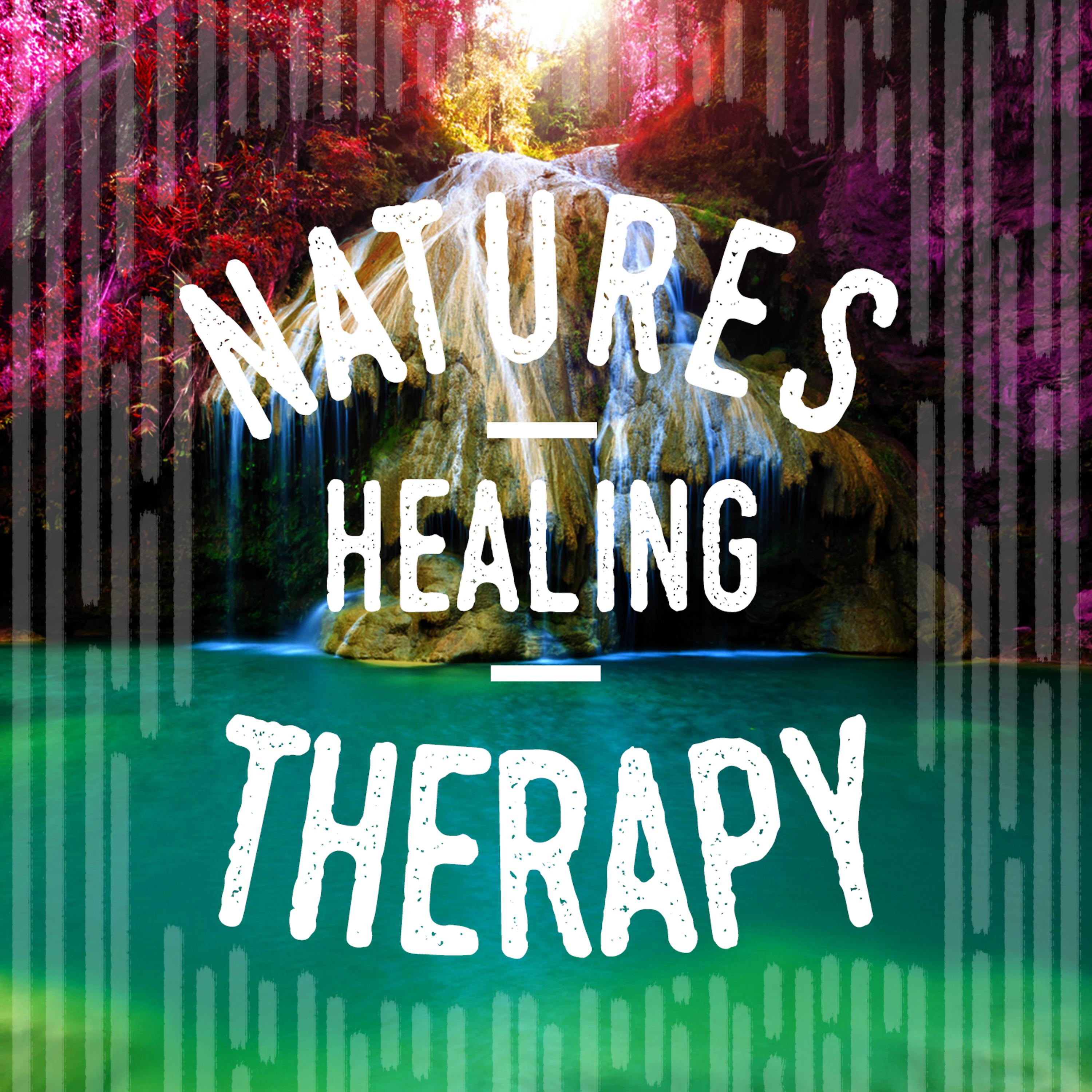 Постер альбома Nature's Healing Therapy