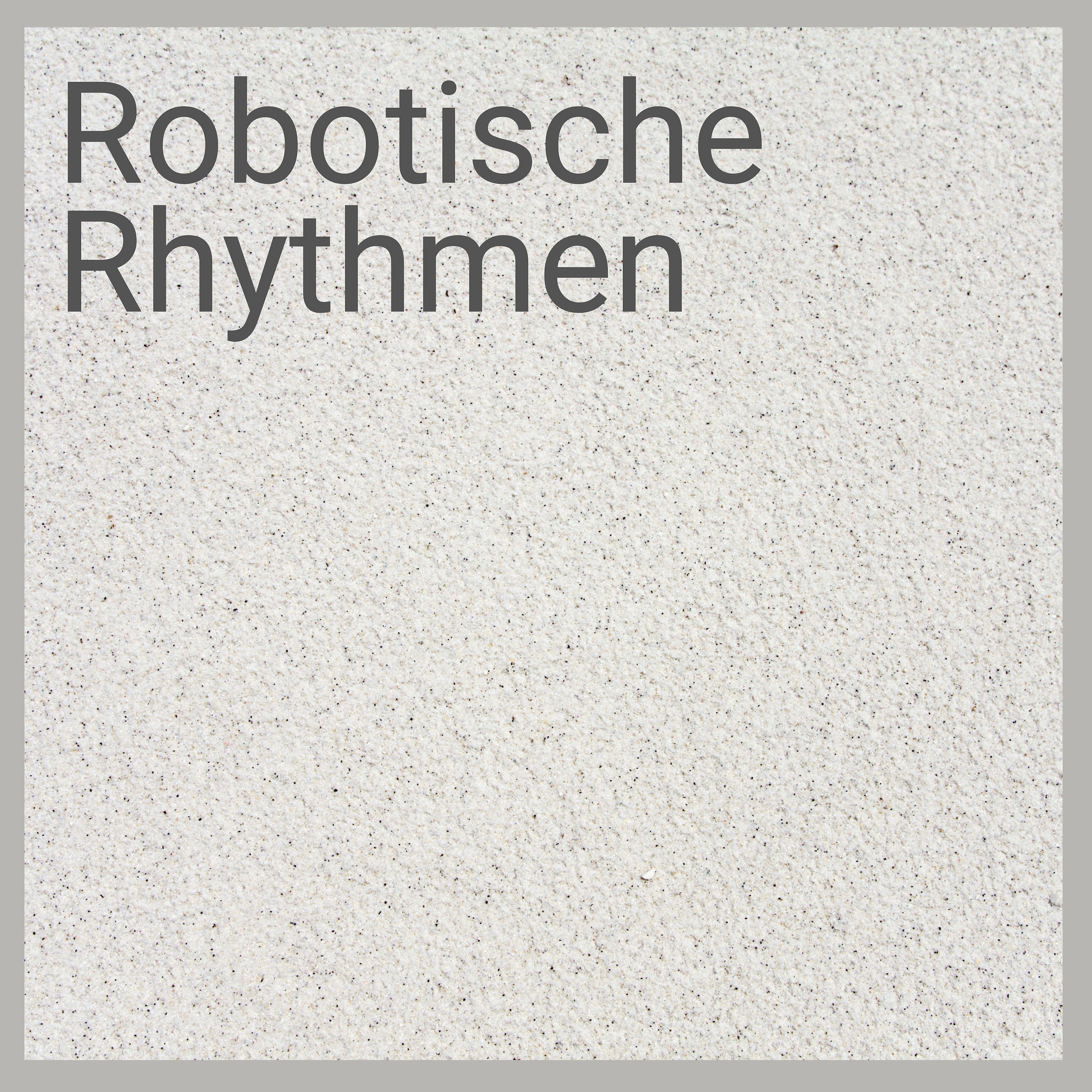 Постер альбома Robotische Rhythmen