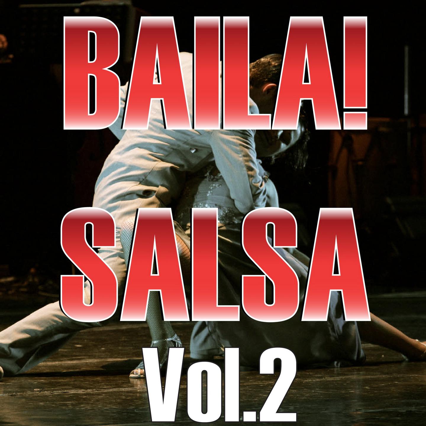 Постер альбома Baila! Salsa Hits, Vol. 2