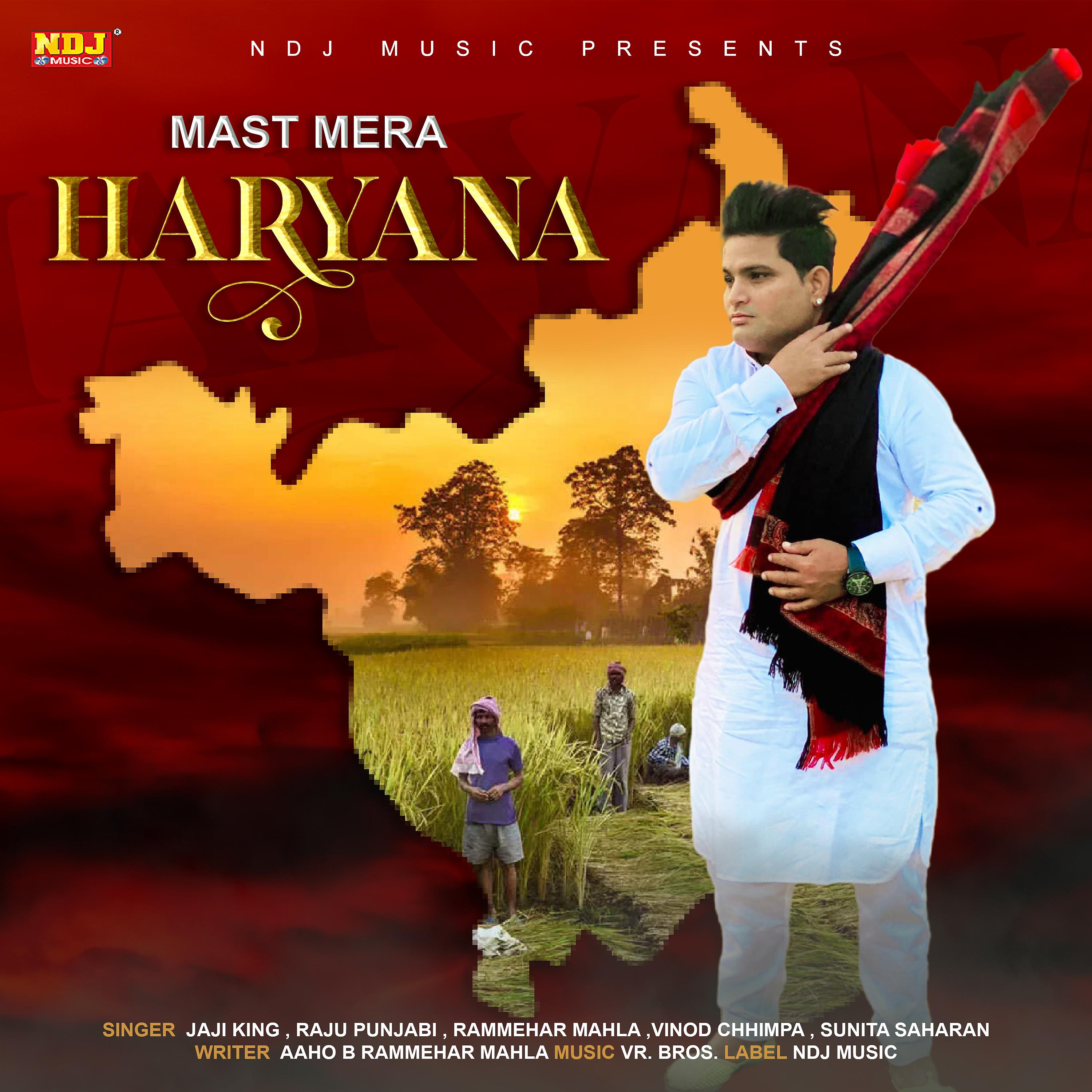 Постер альбома Mast Mera Haryana