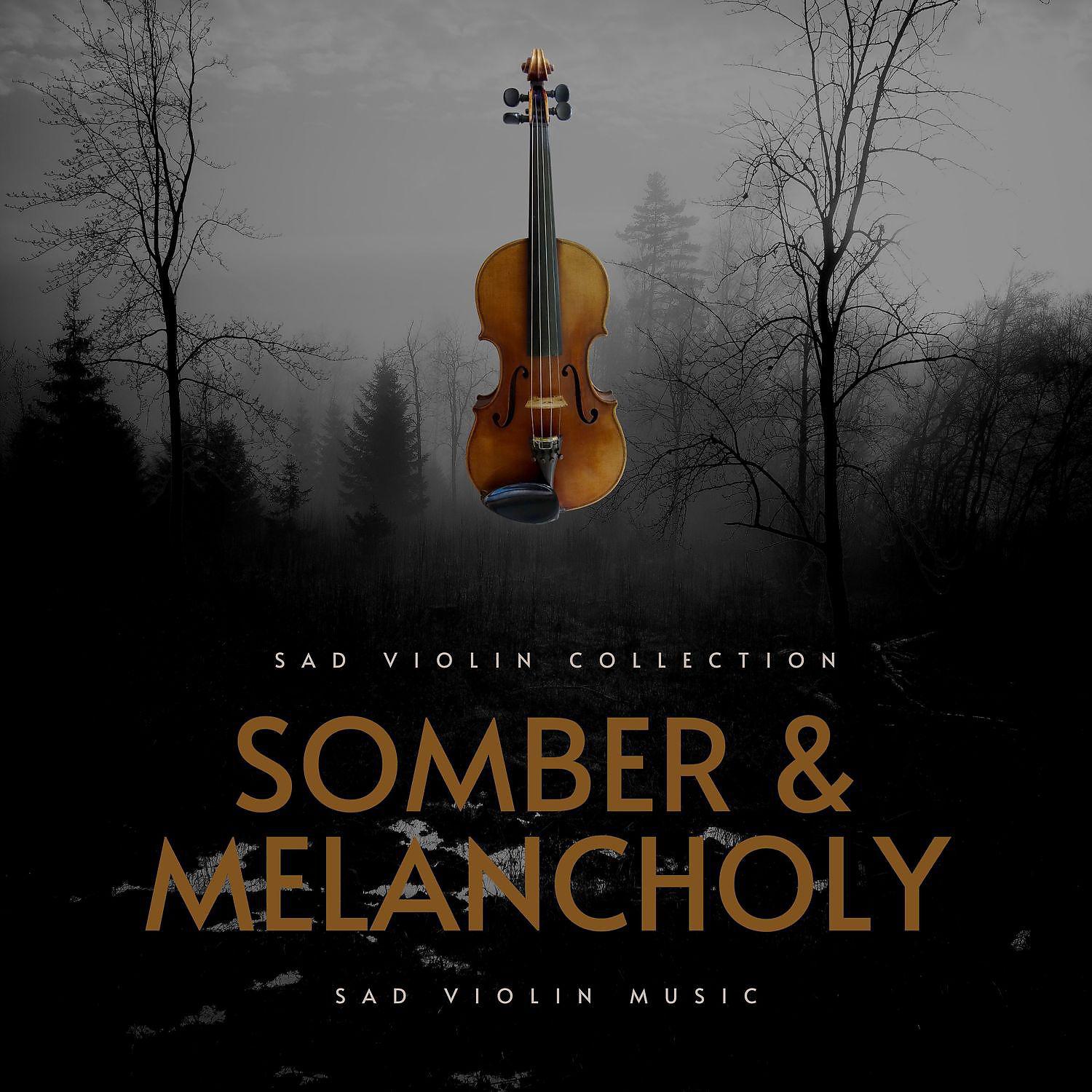 Постер альбома Somber & Melancholy Music