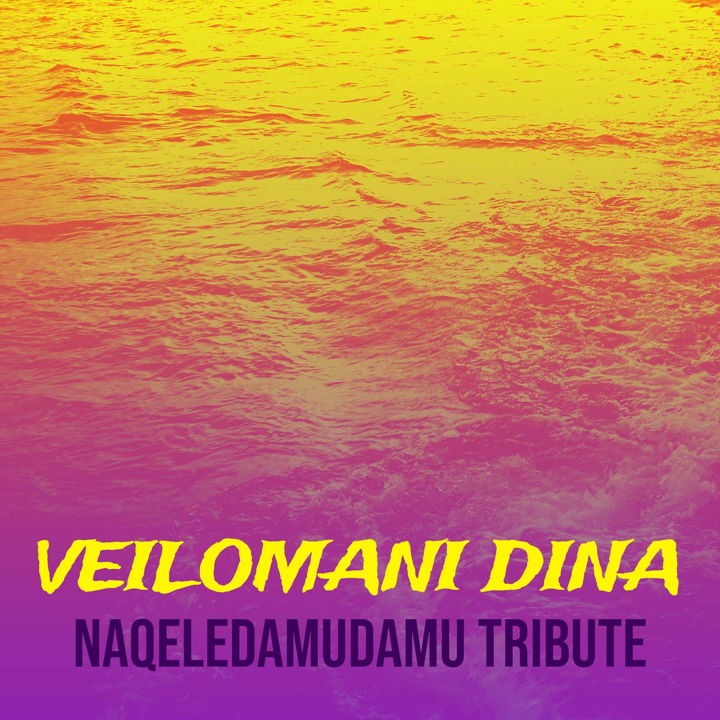 Постер альбома Veilomani Dina