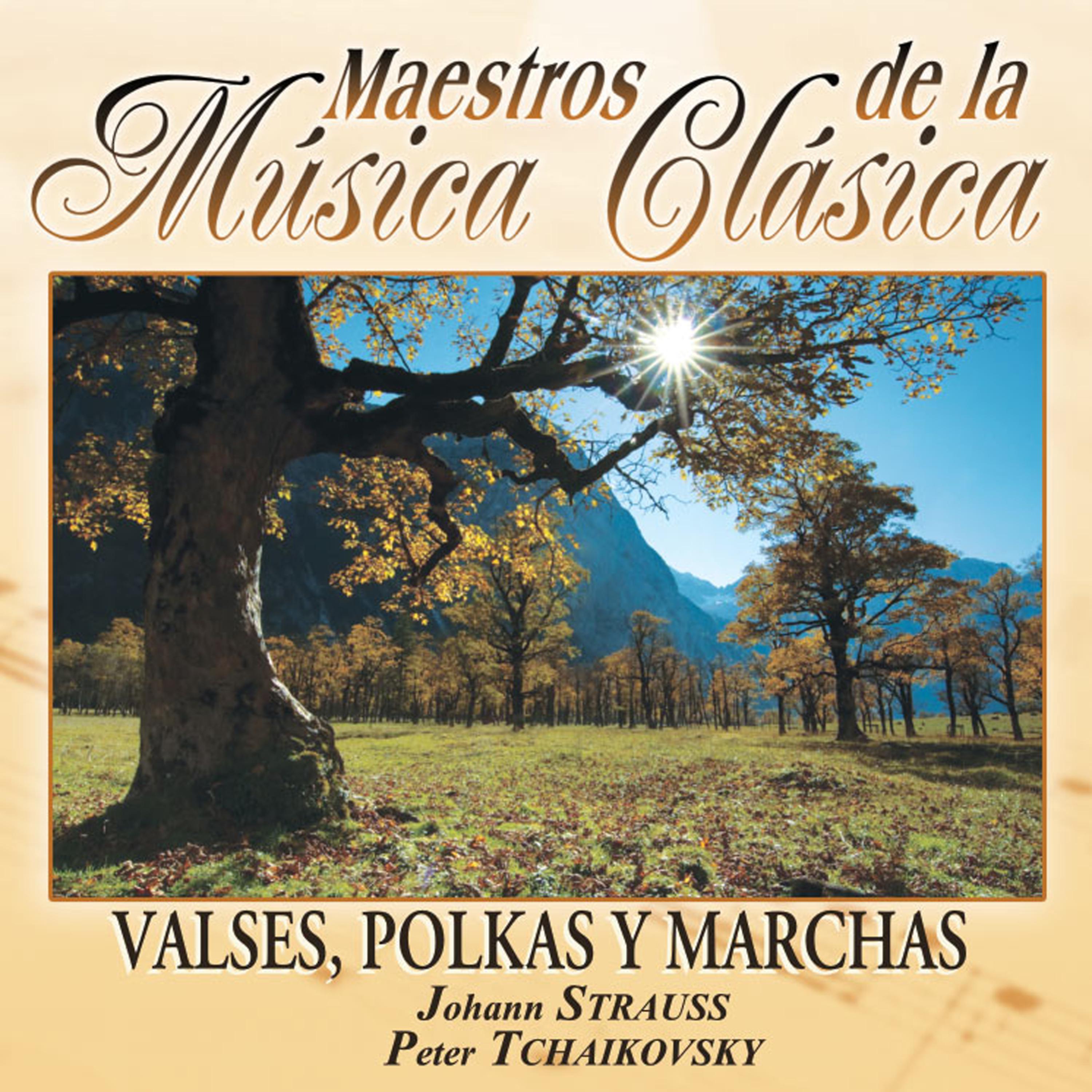 Постер альбома Maestros de la musica clasica - Valses, Polkas y Marchas. Johann Strauss / Peter Tchaikovsy