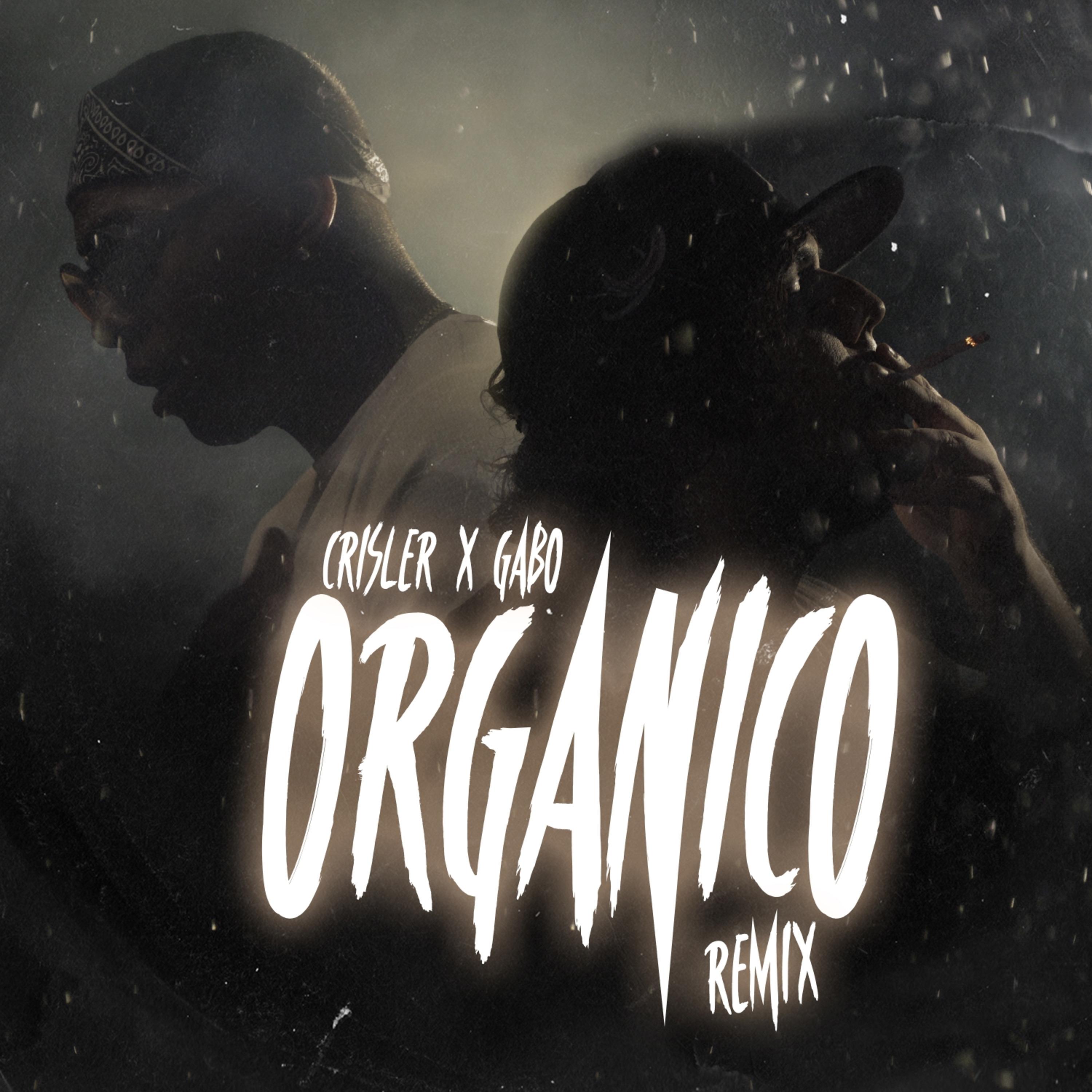 Постер альбома Organico